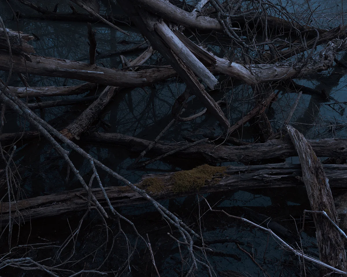 New Moon, 2016