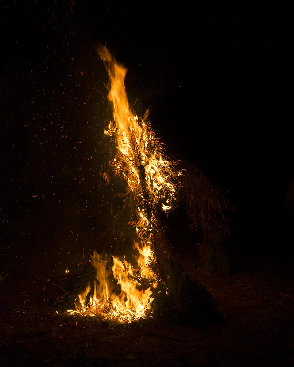 From Fire, 2015