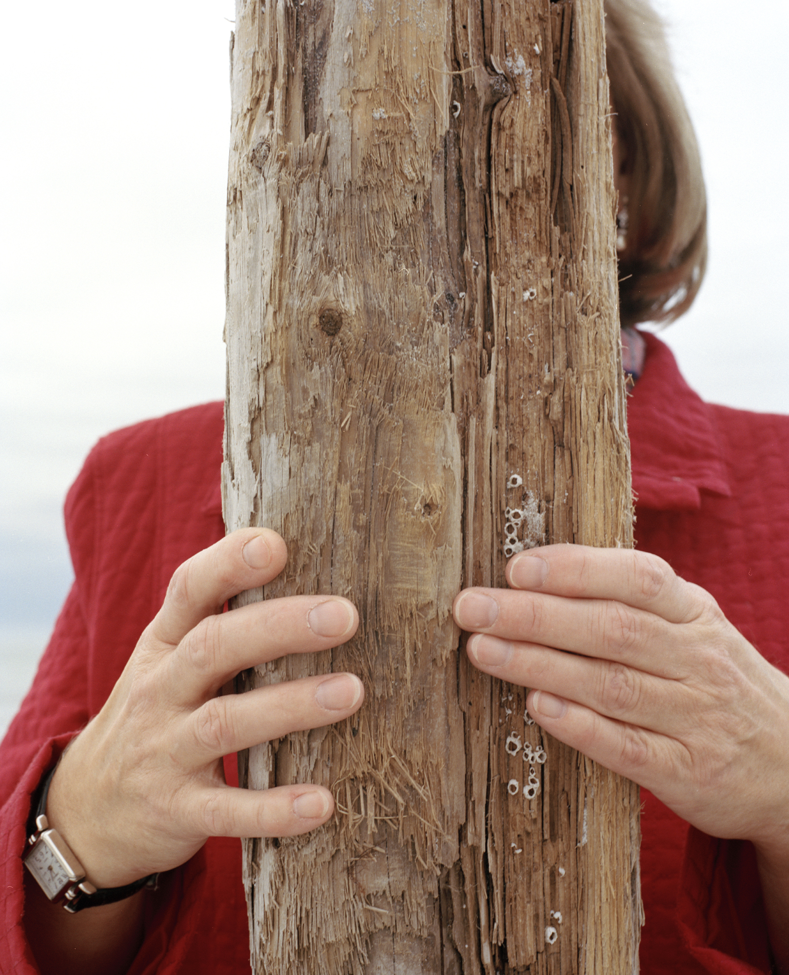  Mom at Wingaersheek, 2013 