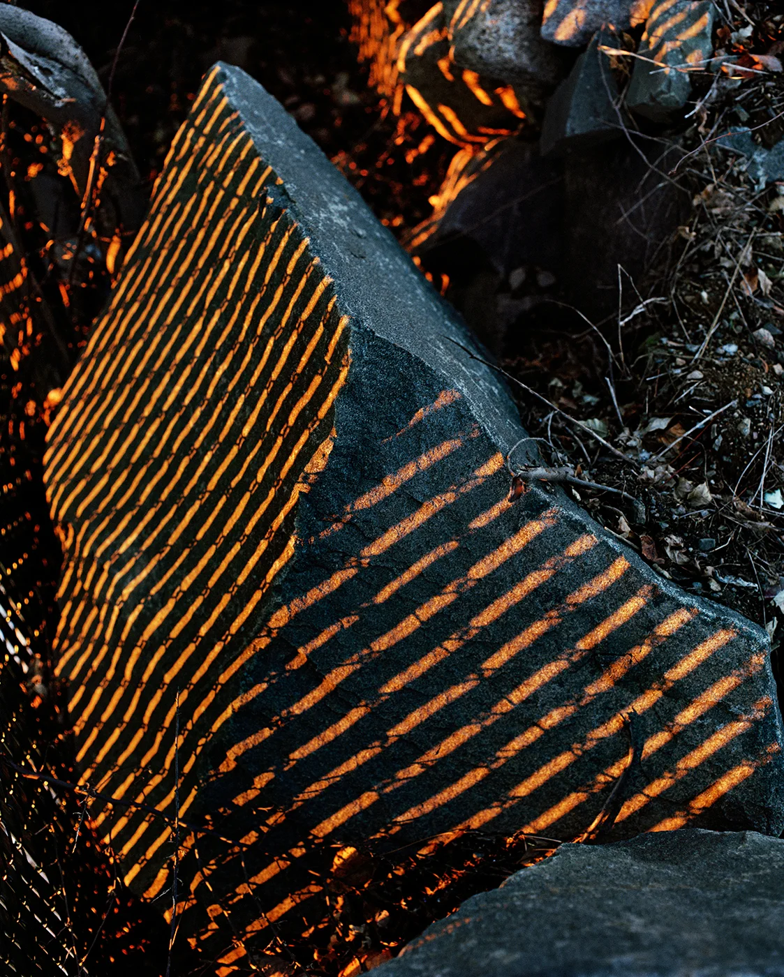Rock, 2017