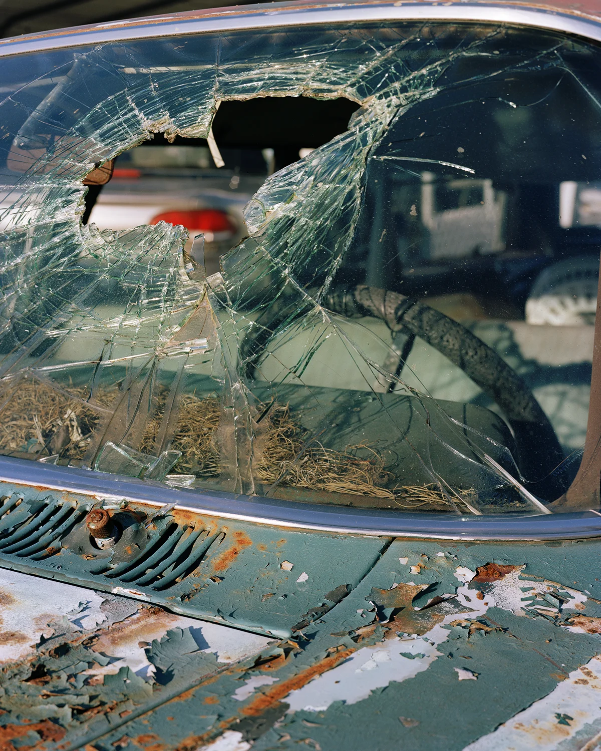 Broken Windshield, 2017