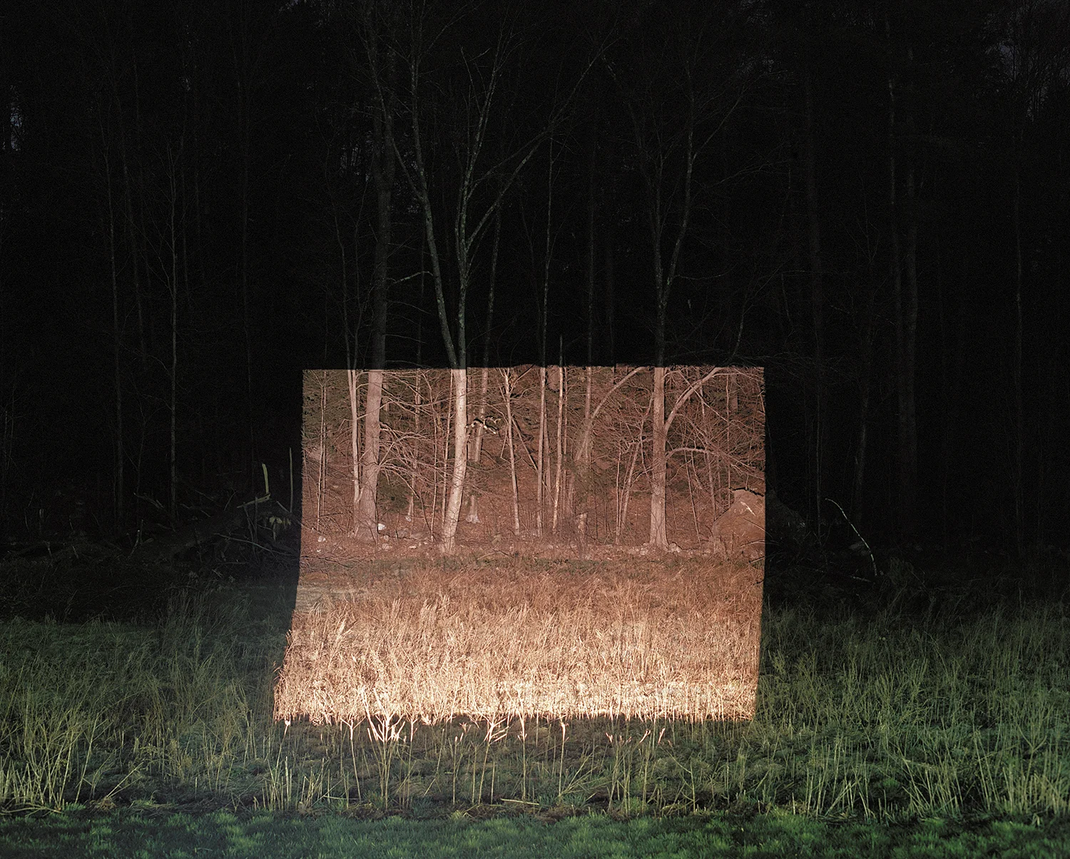Textures and Paterns in Wood, 2012