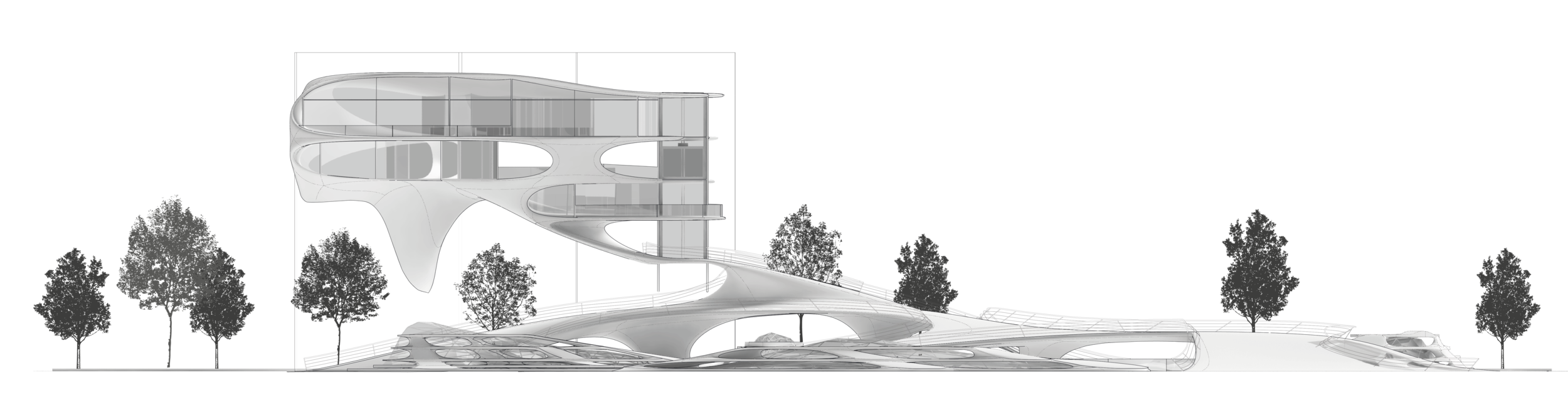 ANSICHT SEED PROJECT.png