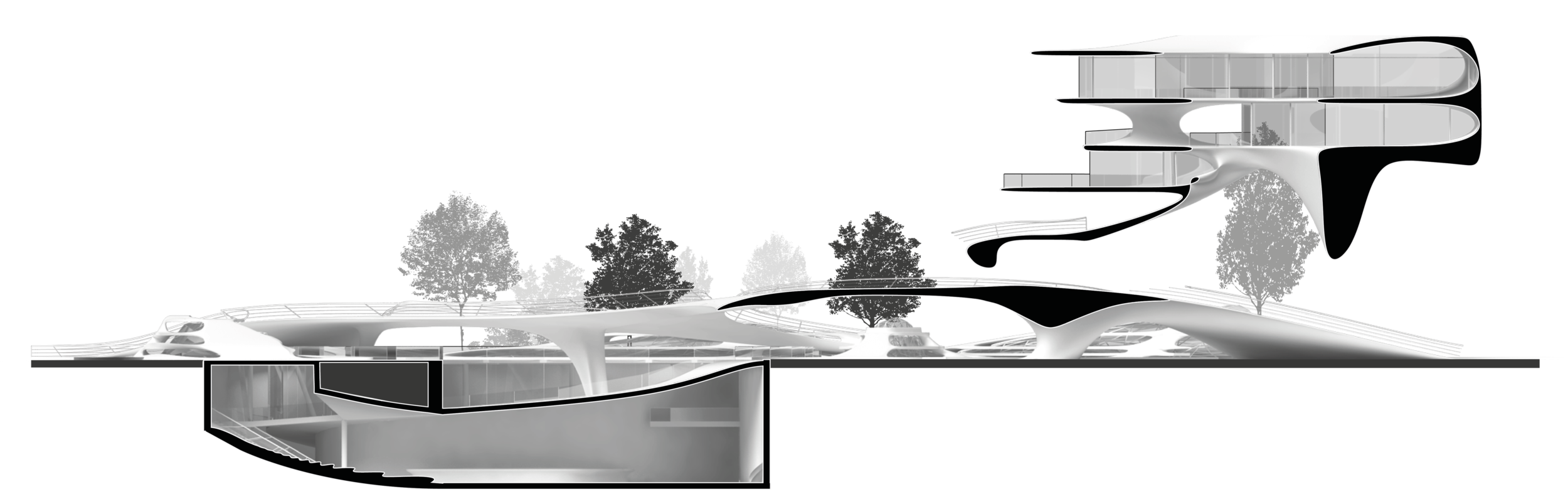 SCHNITT 1 SEED PROJECT.png