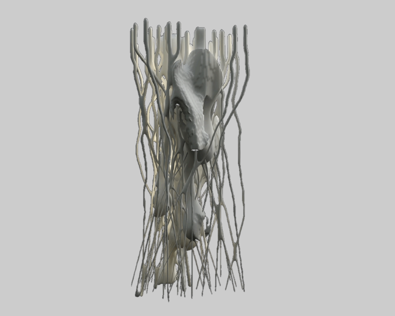 Web_GIF TWO DIRECTIONS.gif