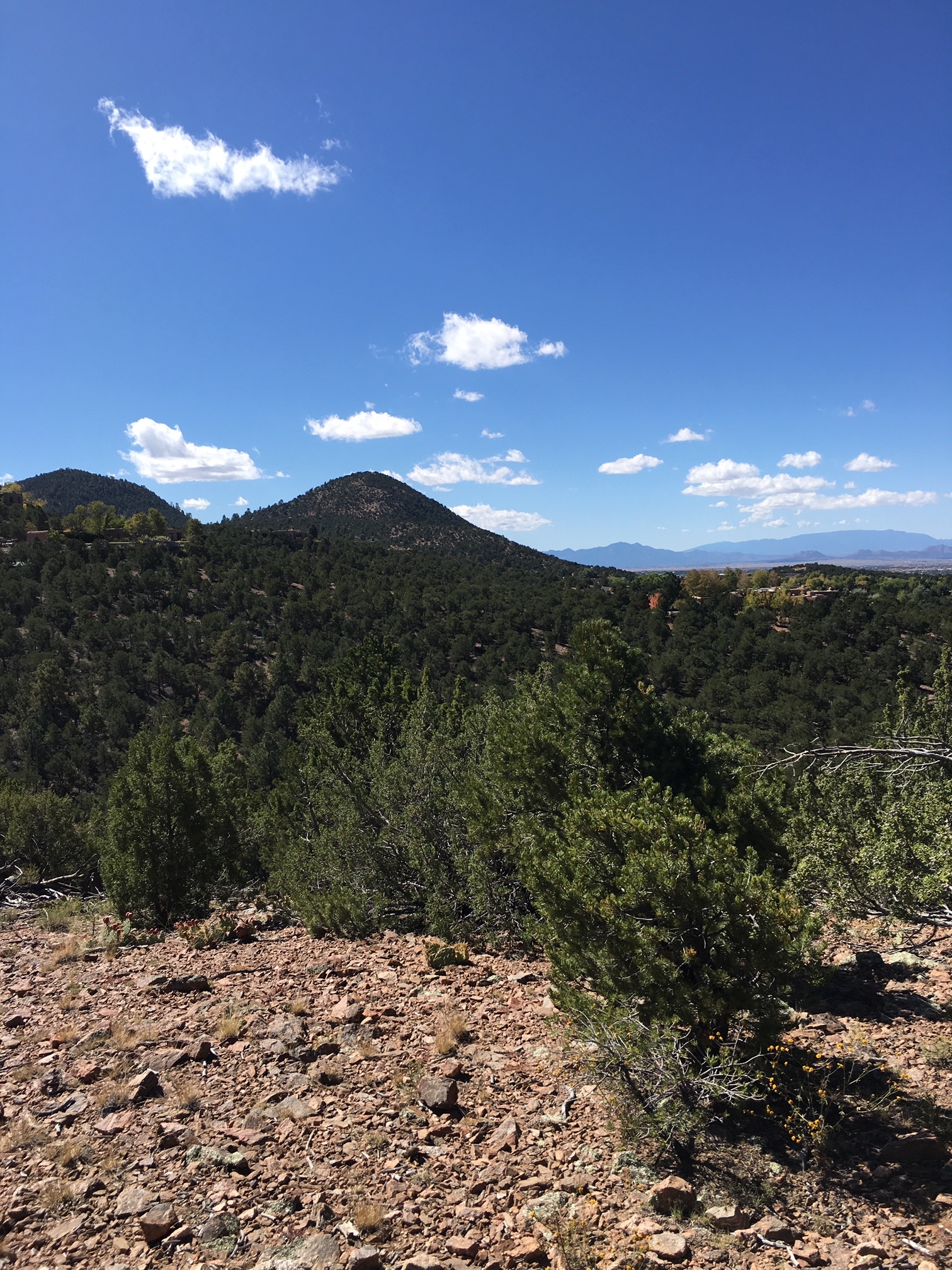 The Beauty of the Desert 