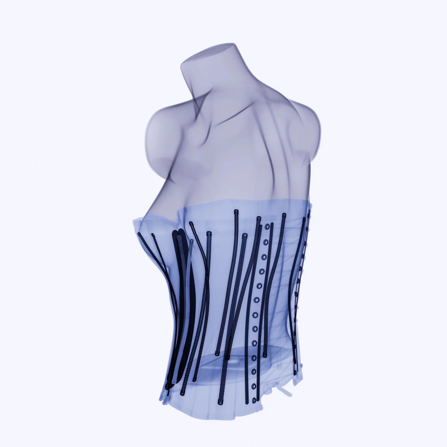 x-ray_torso-boddice.jpg