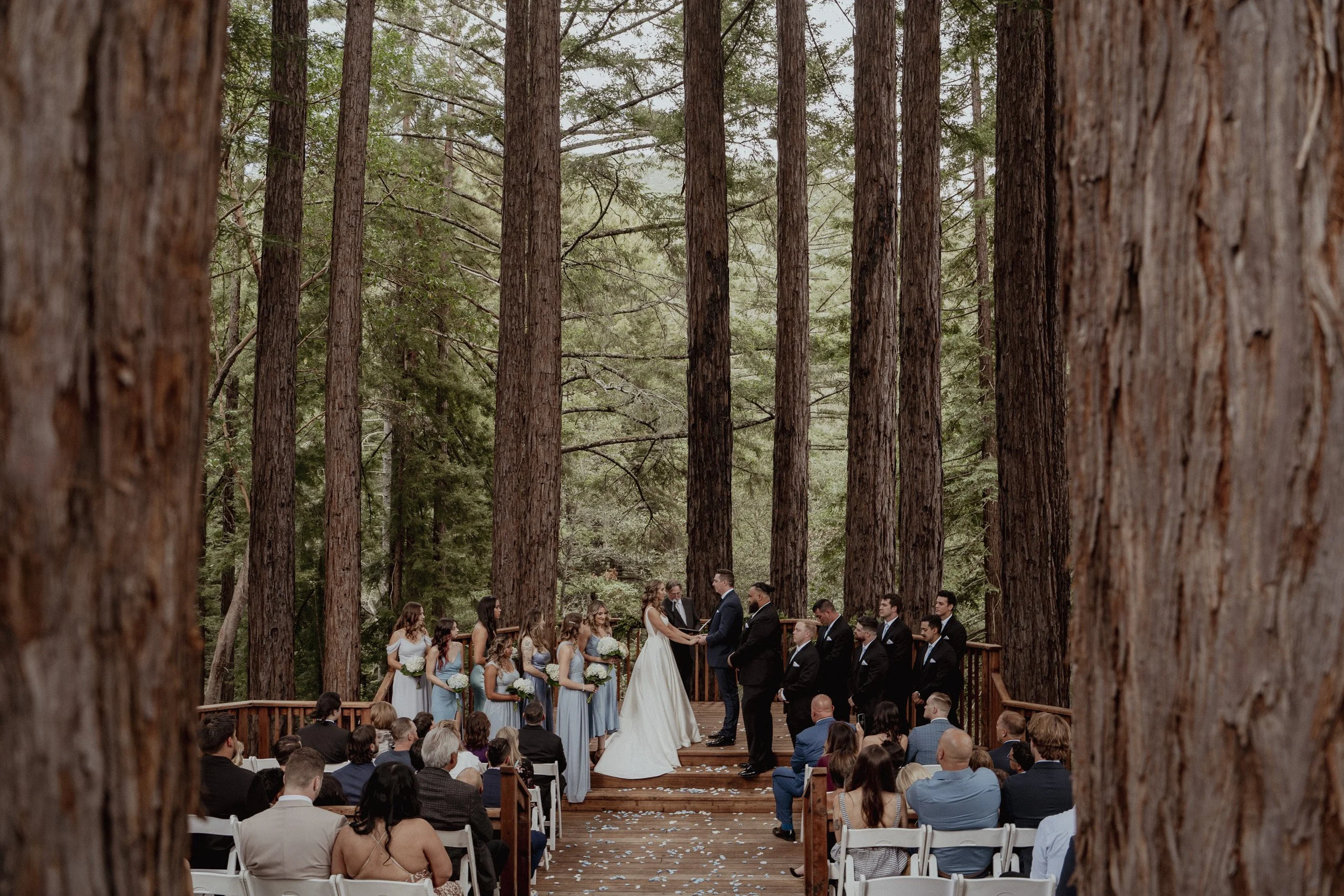 Caylyn &amp; Mike Amphitheater of the Redwoods