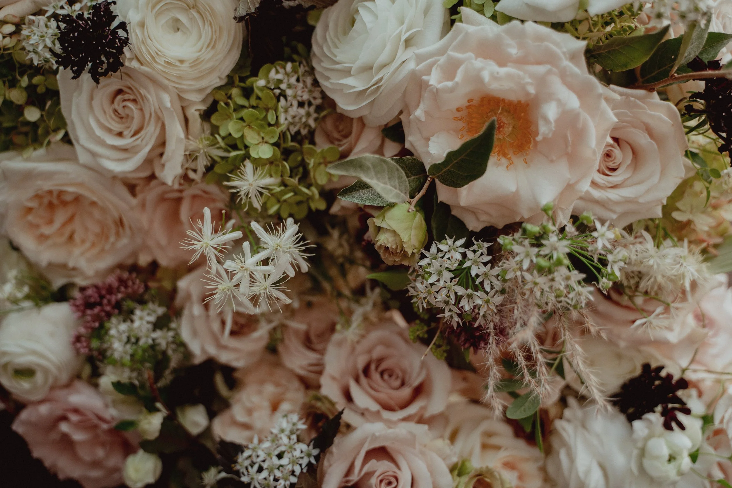 Ashlyn & Paul wedding final30.JPG
