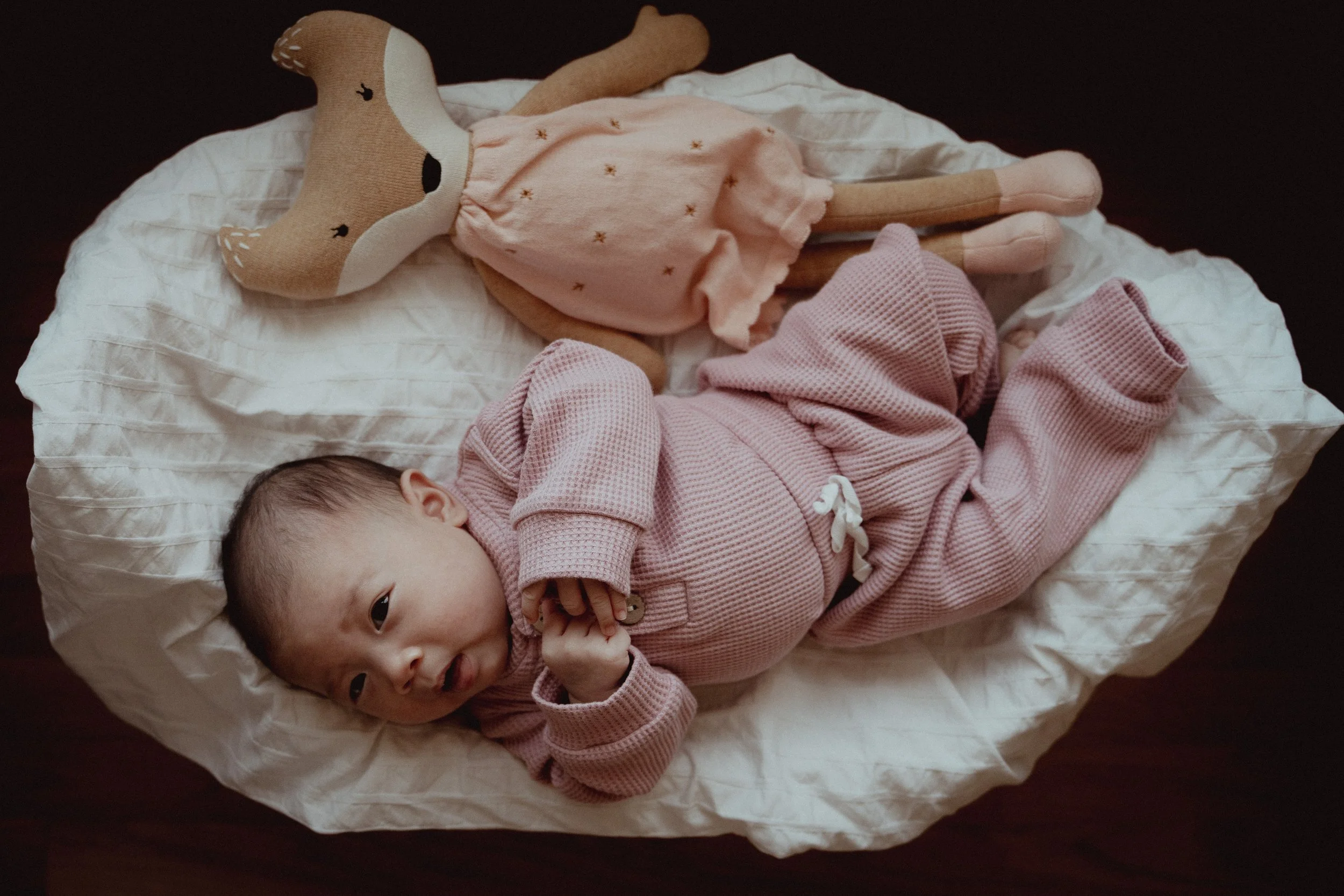addie's debut final30.JPG