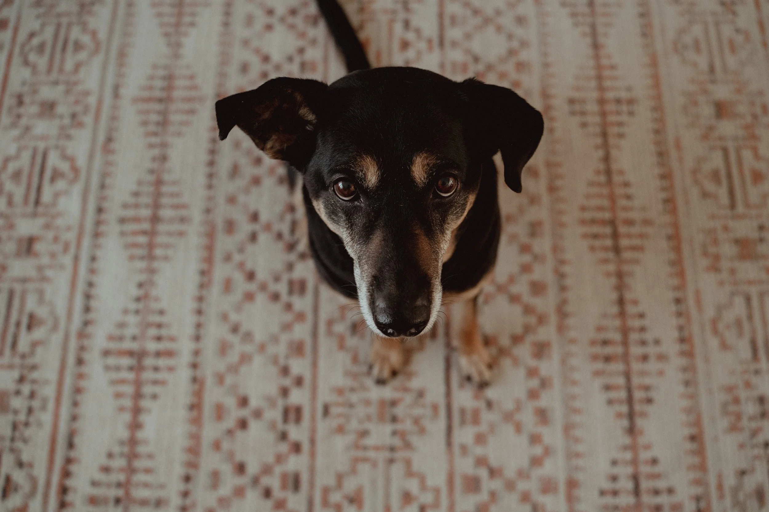 addie's debut final101.JPG