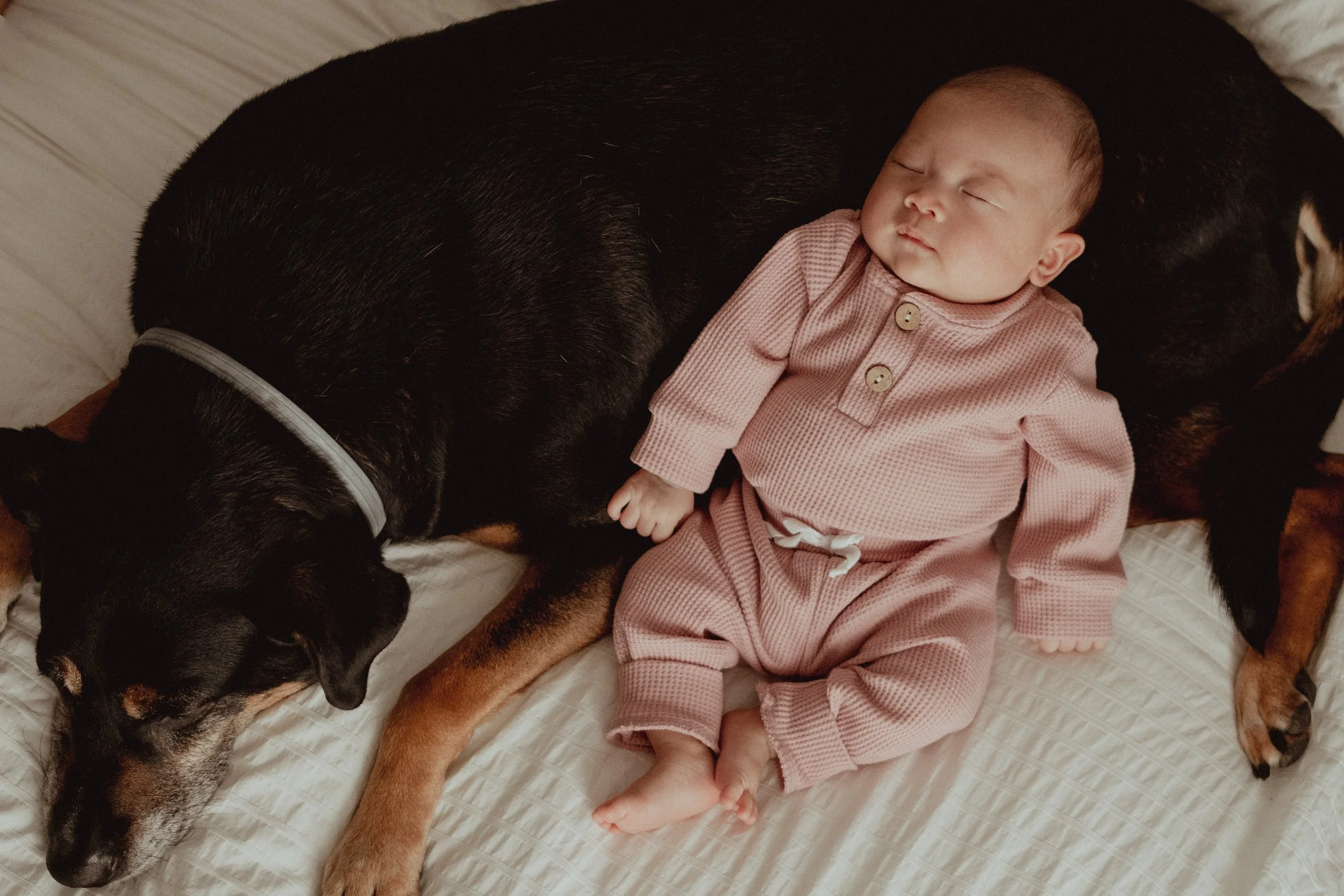 addie's debut final278.JPG