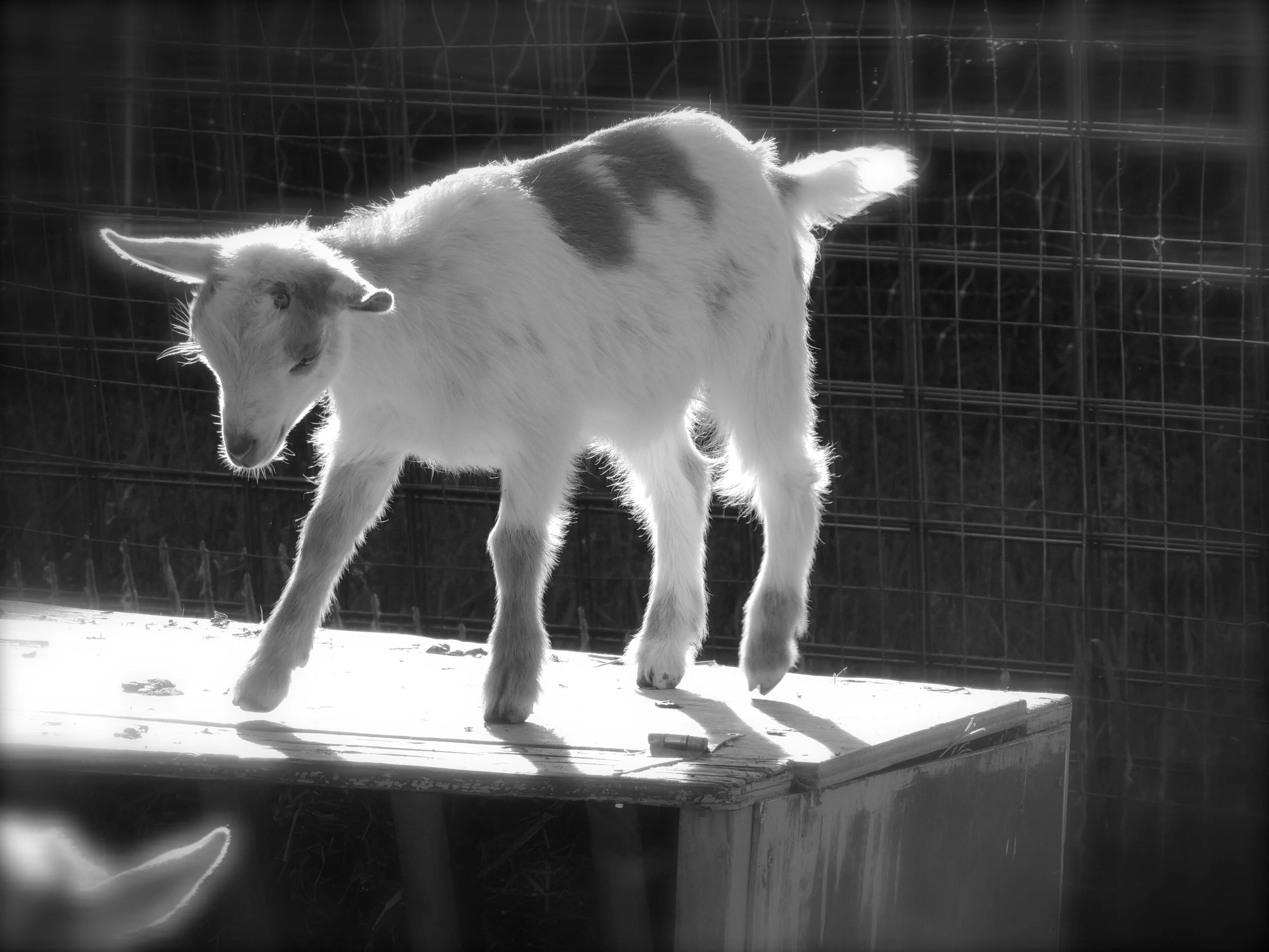 DSCN0093 16-36-04.jpeg