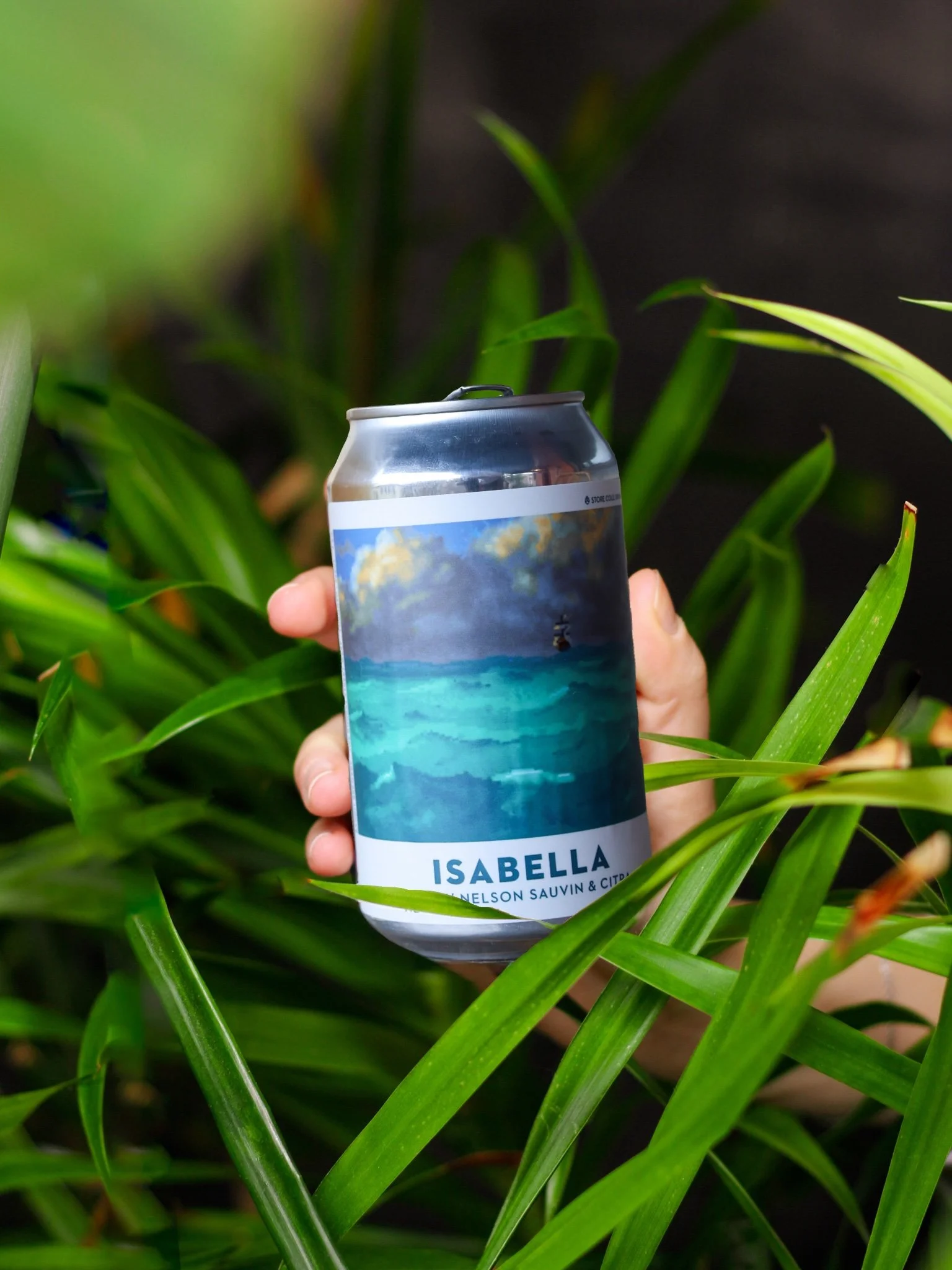 ISABELLA (Double Dry Hopped IPA w/ Citra & Nelson Sauvin)