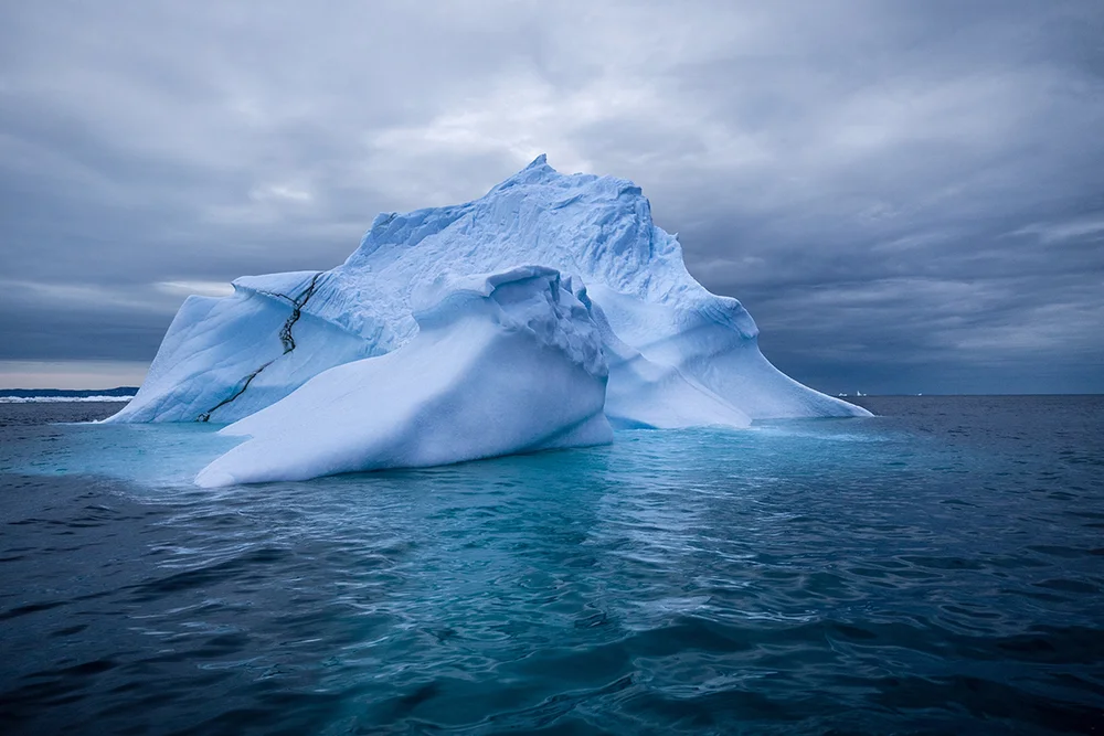 Enter the Ice Kingdom — ALEXIANDREA BORDEN