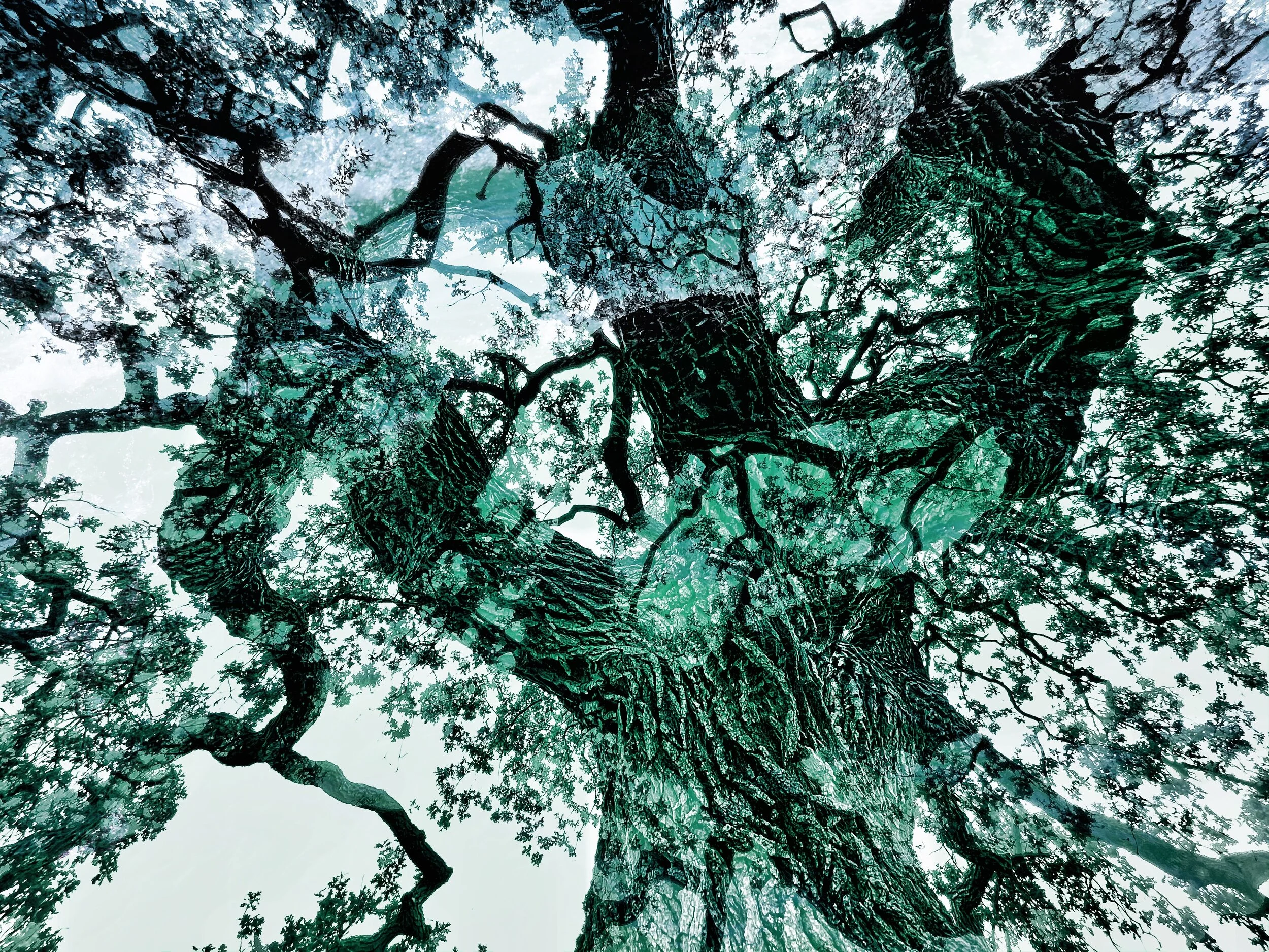 FullSizeRender 3.jpeg