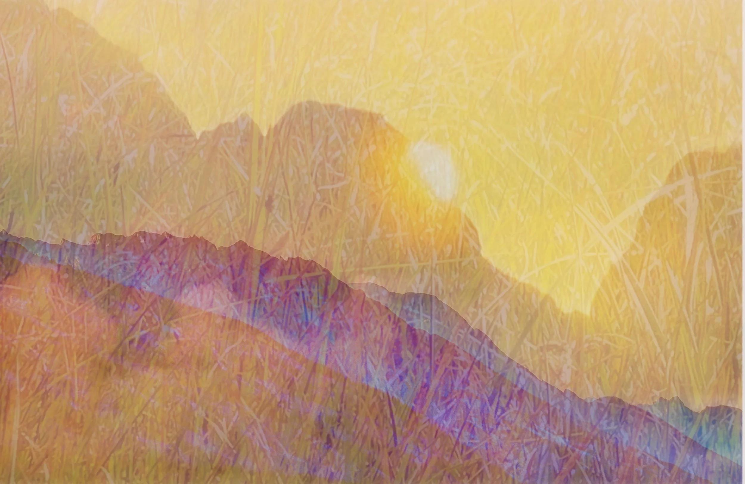 FullSizeRender 3.jpeg