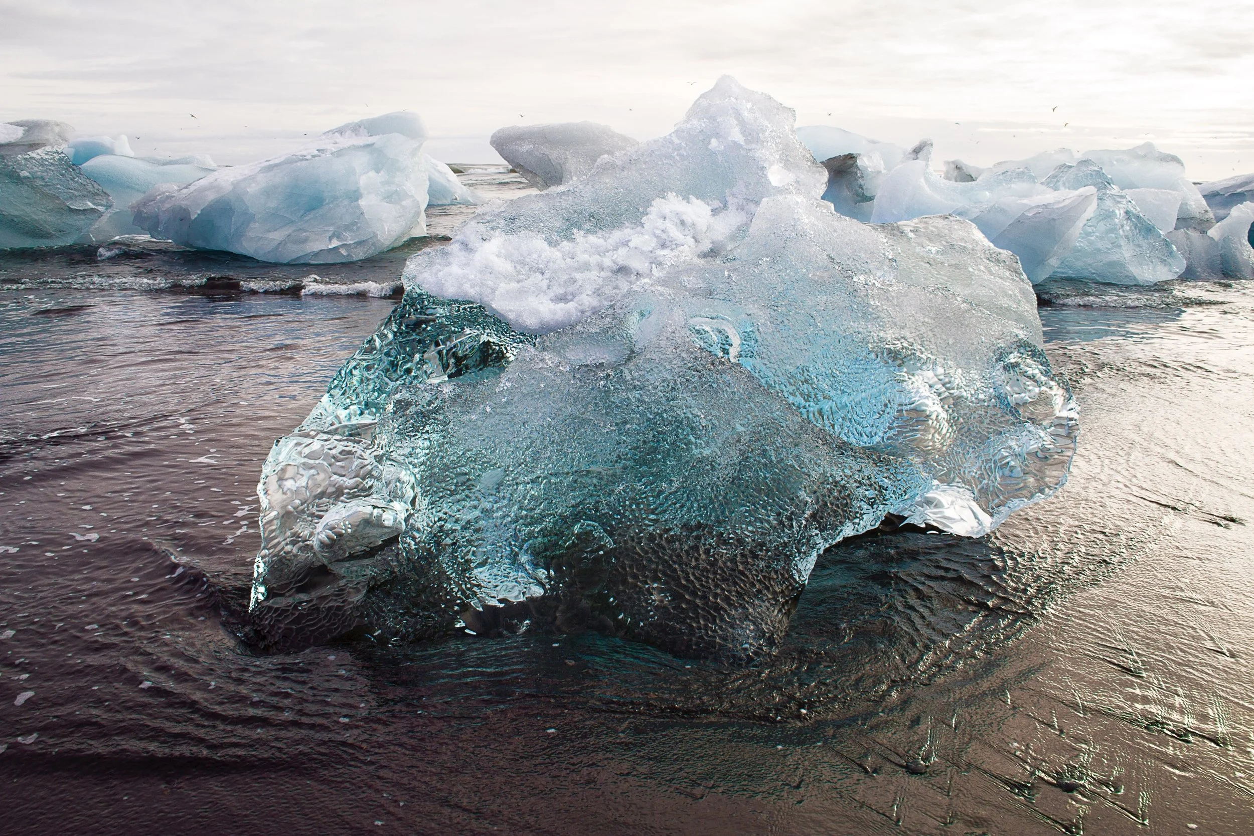 Sweet Bird of Ice:Iceberg Photo:@AlexiAndreaBordenArtist:#SailingThruIcebergs.jpg