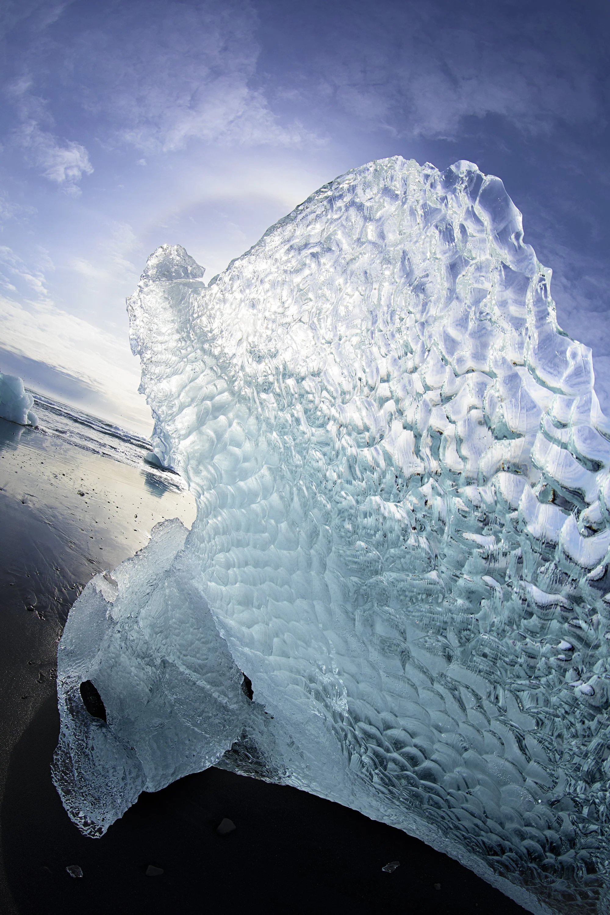 The Eagle Has Landed:Iceberg Photo:@AlexiAndreaBordenArtist:#SailingThruIcebergs.JPG