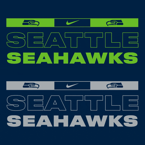 nfl-seahawks.gif