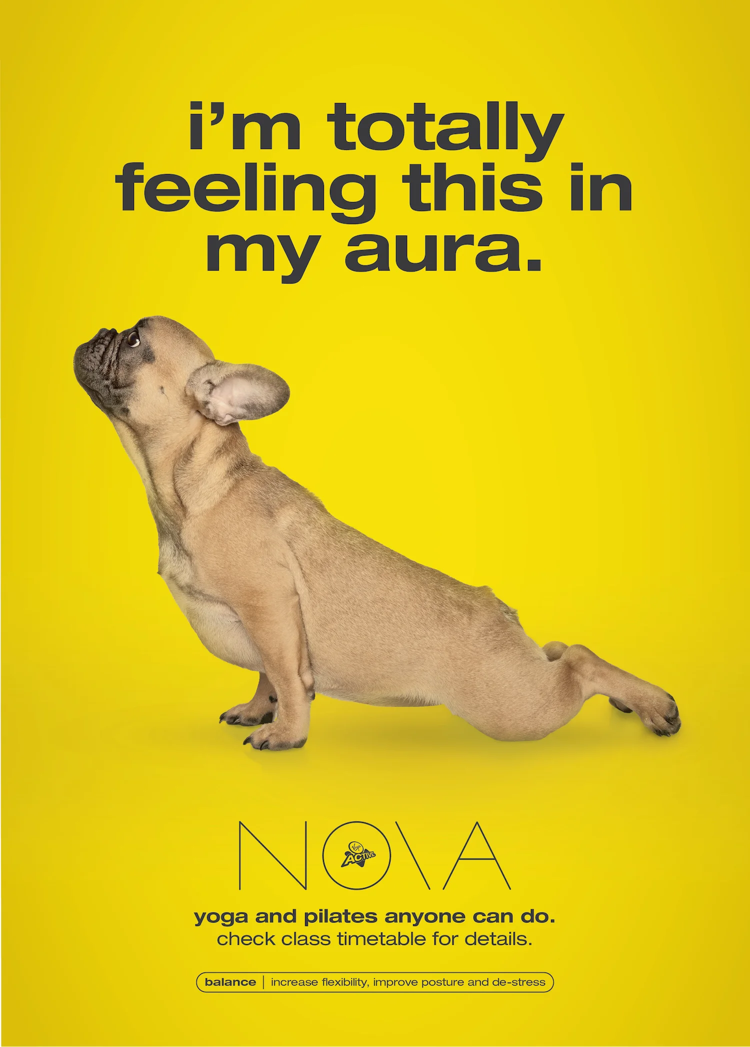 Nova Posters-aura.jpg