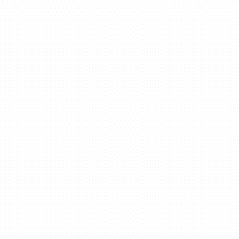 StayTrue_overlap_cropped.gif