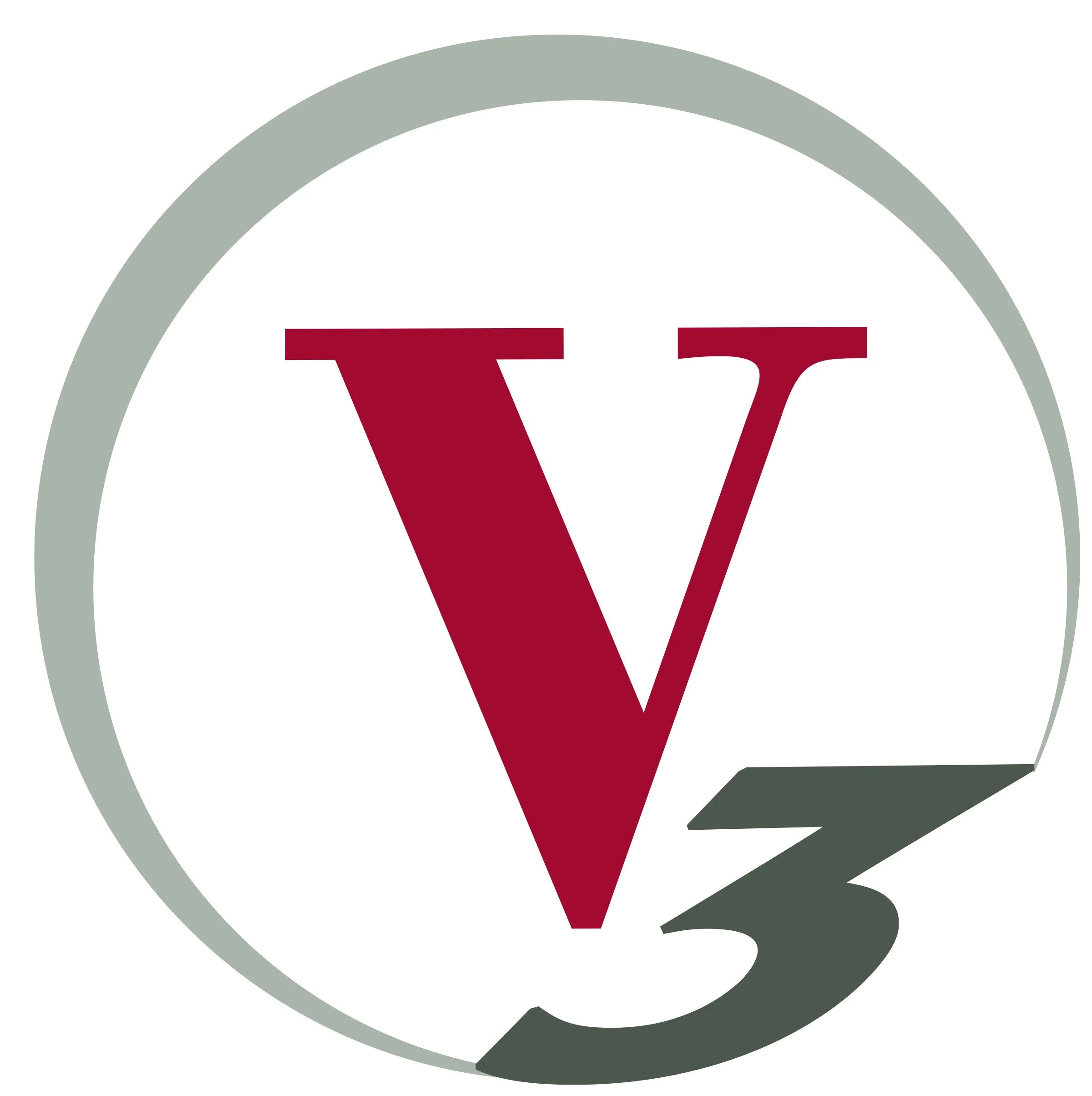 v3 logo.jpg