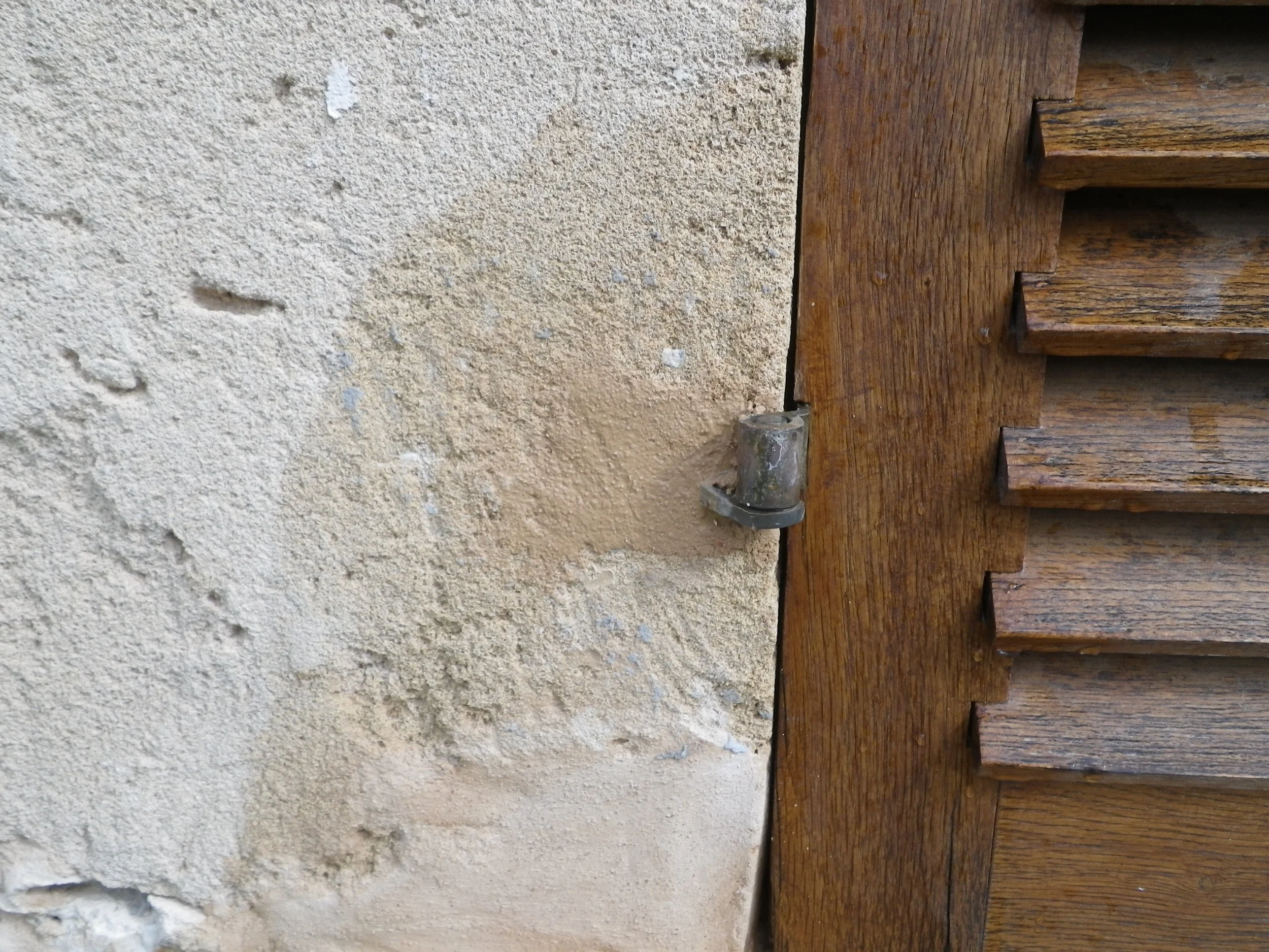 IMGP3551.jpg