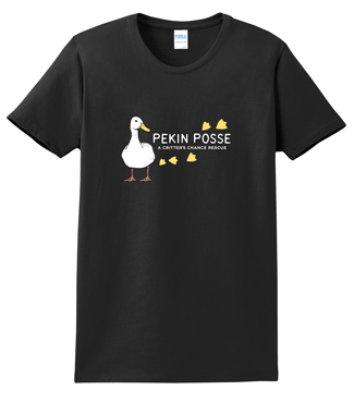 shirt10.png