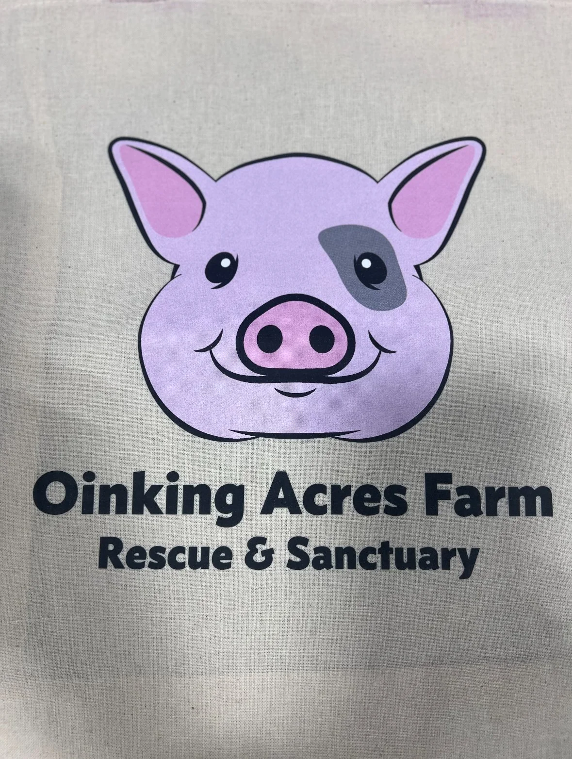 Screenshot 2024-02-09 at 10.30.27 AM.jpeg