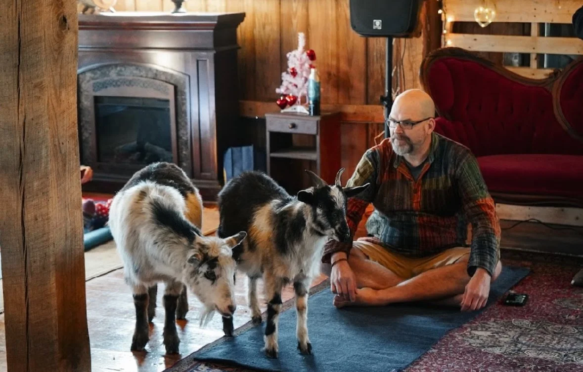 Goat Yoga