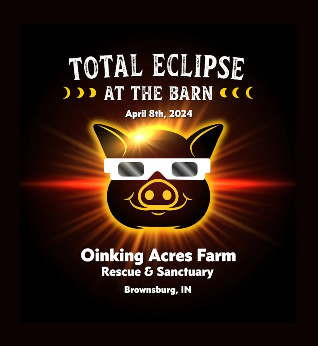 Screenshot 2024-02-25 at 3.12.28 PM.jpeg