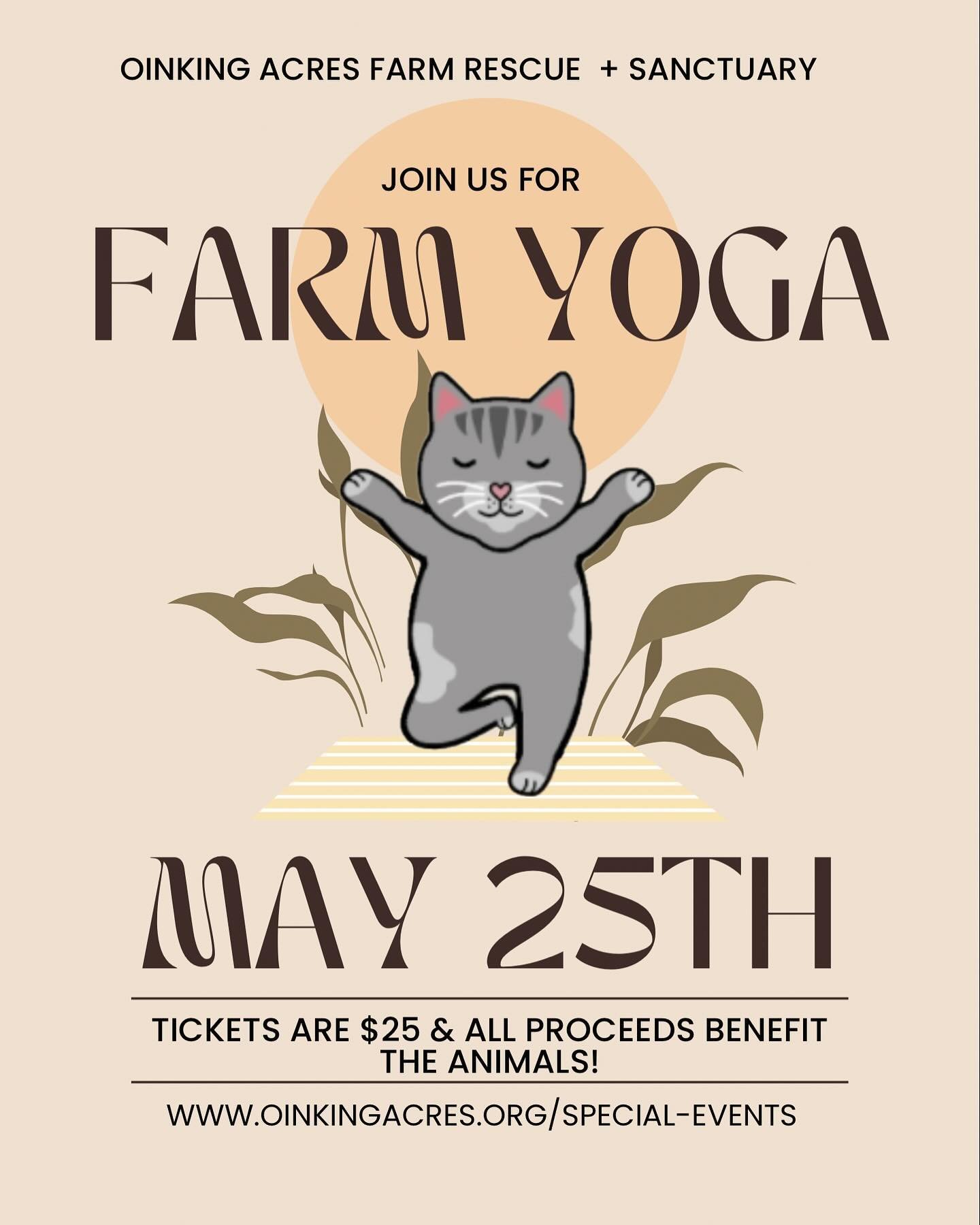Yoga is next weekend!! Have you got your tickets yet? Summer is here and that means yoga is out in the pasture amongst the pigs, goats, cats, ducks, chickens, and our friendly turkey. You don&rsquo;t wanna miss out on this event. After yoga the sanct