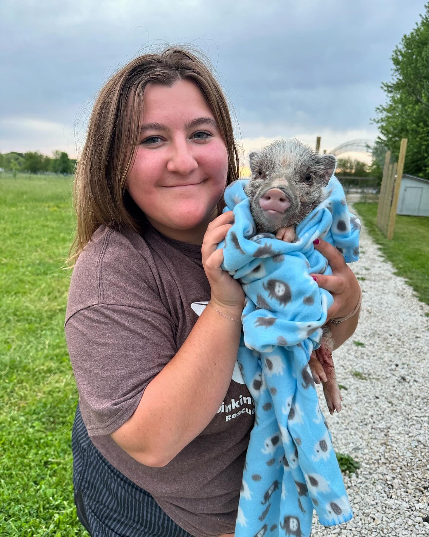 Last Wednesday afternoon, I received a text from Brad that someone was at the barn seeking help with a piglet they recently purchased. I dropped what I was doing and headed to the farm to see how I could assist. When I arrived, I saw Pete&mdash;wrapp