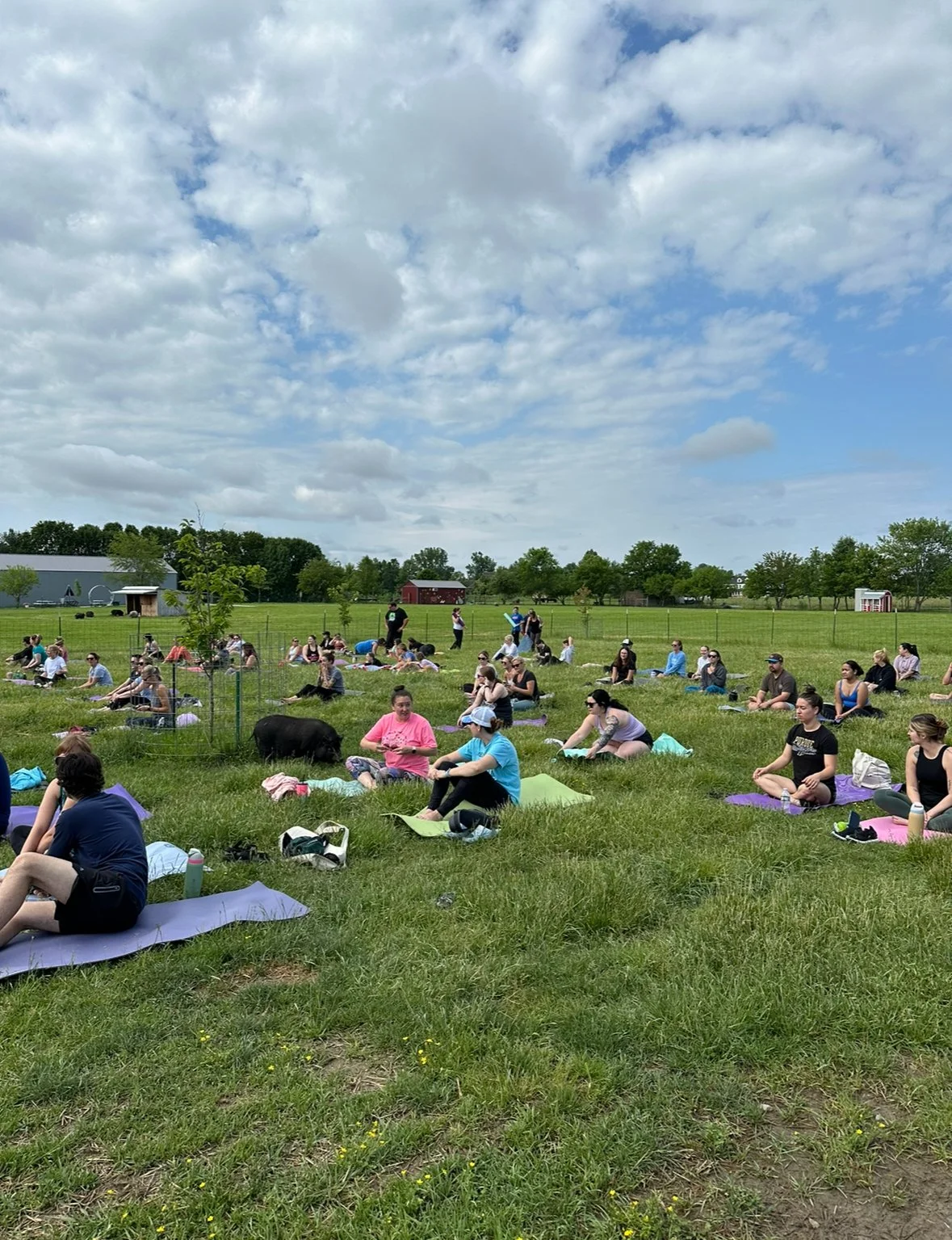 Farm Yoga 