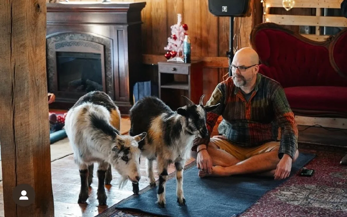 Goat Yoga 