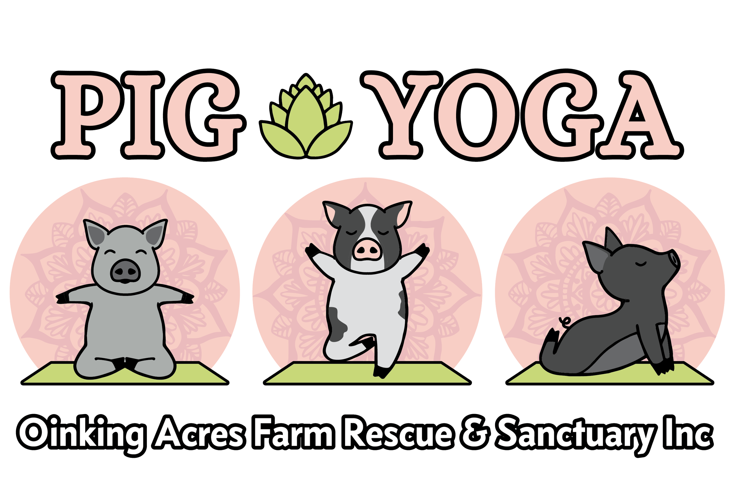 Pig Yoga 