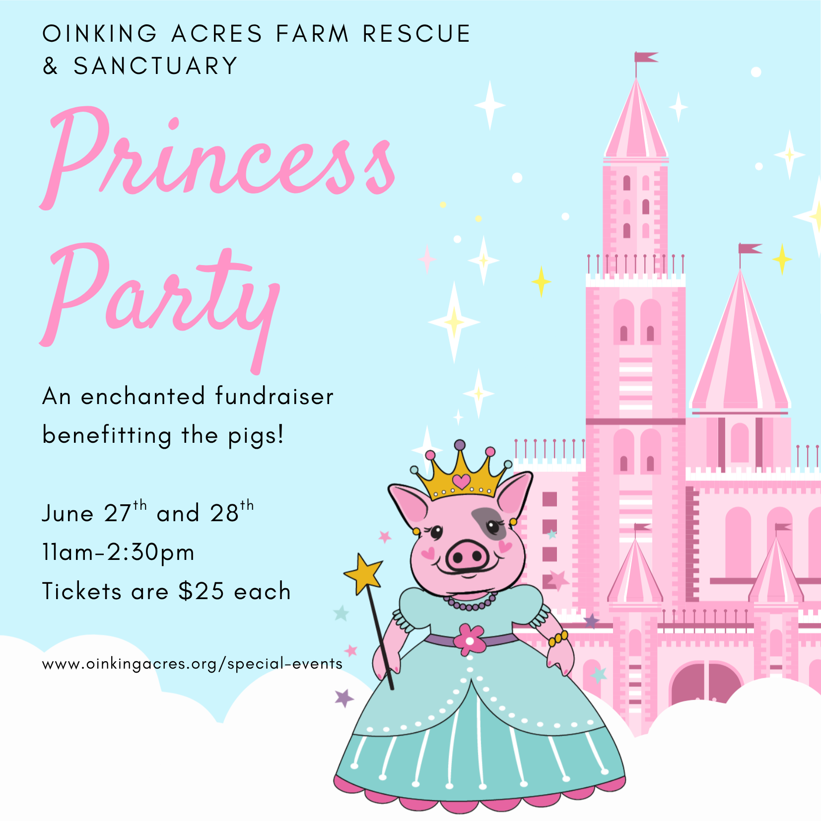 Princess Party