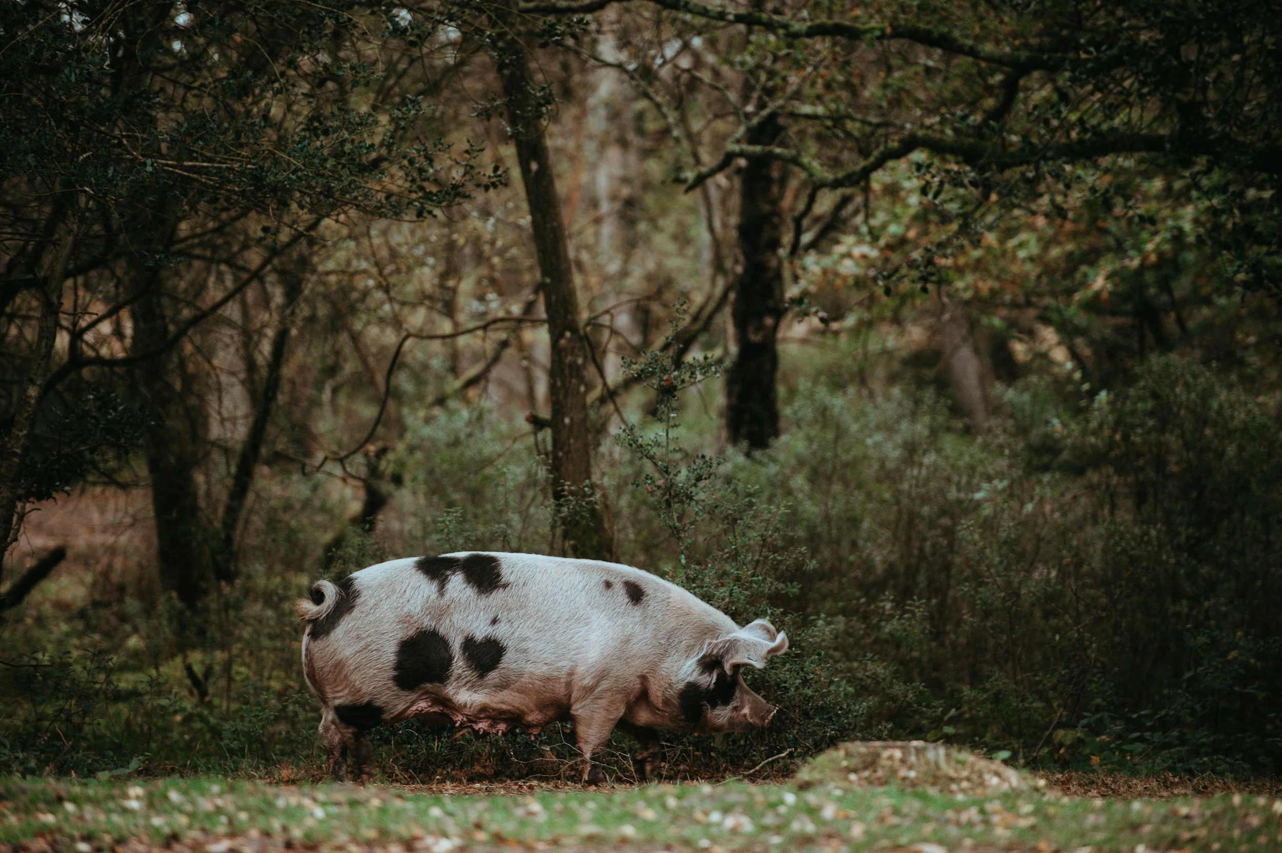 unsplash-image-RTwXZuKcOtA.jpg