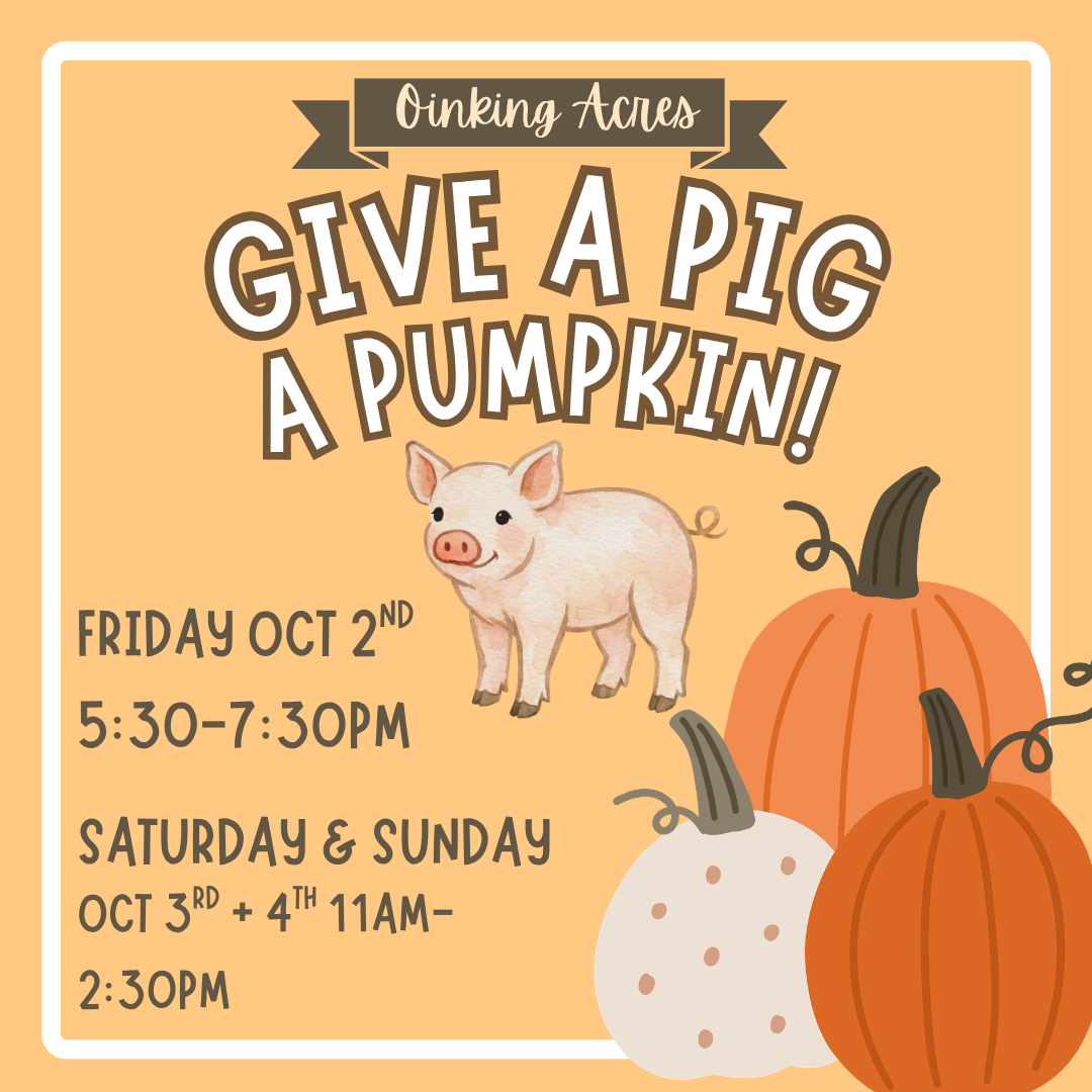 Give a Pig a Pumpkin