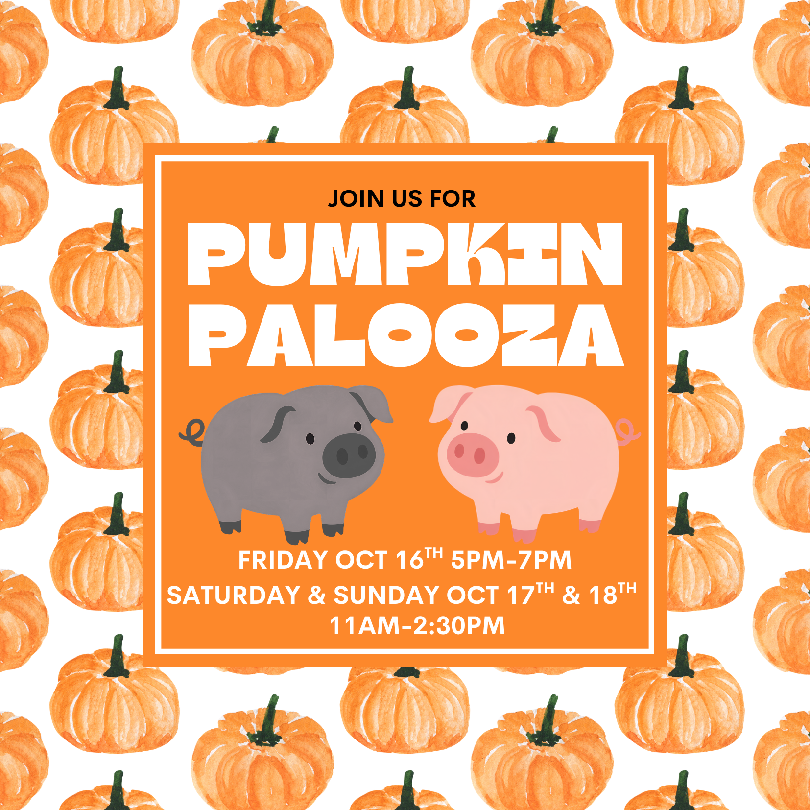 Pumpkin Palooza