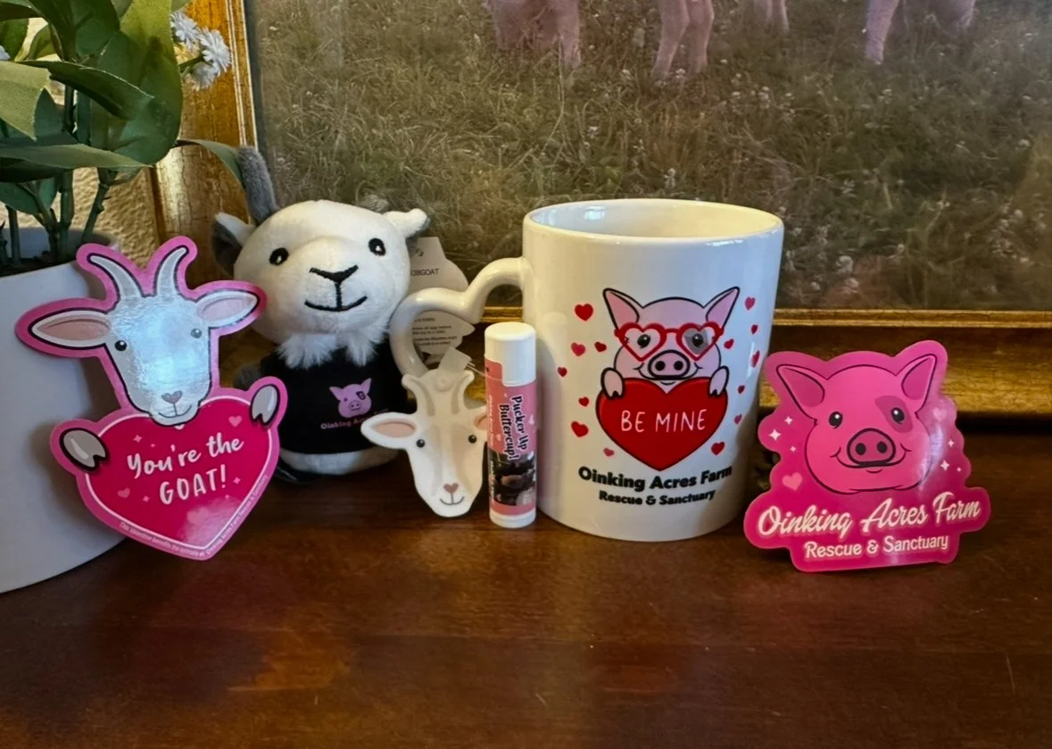 Screenshot 2025-01-29 at 10.54.17 AM.jpeg