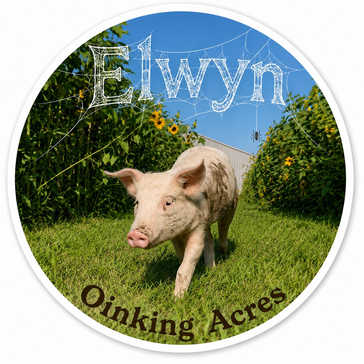 September E-MAIL (Elwyn Mail)