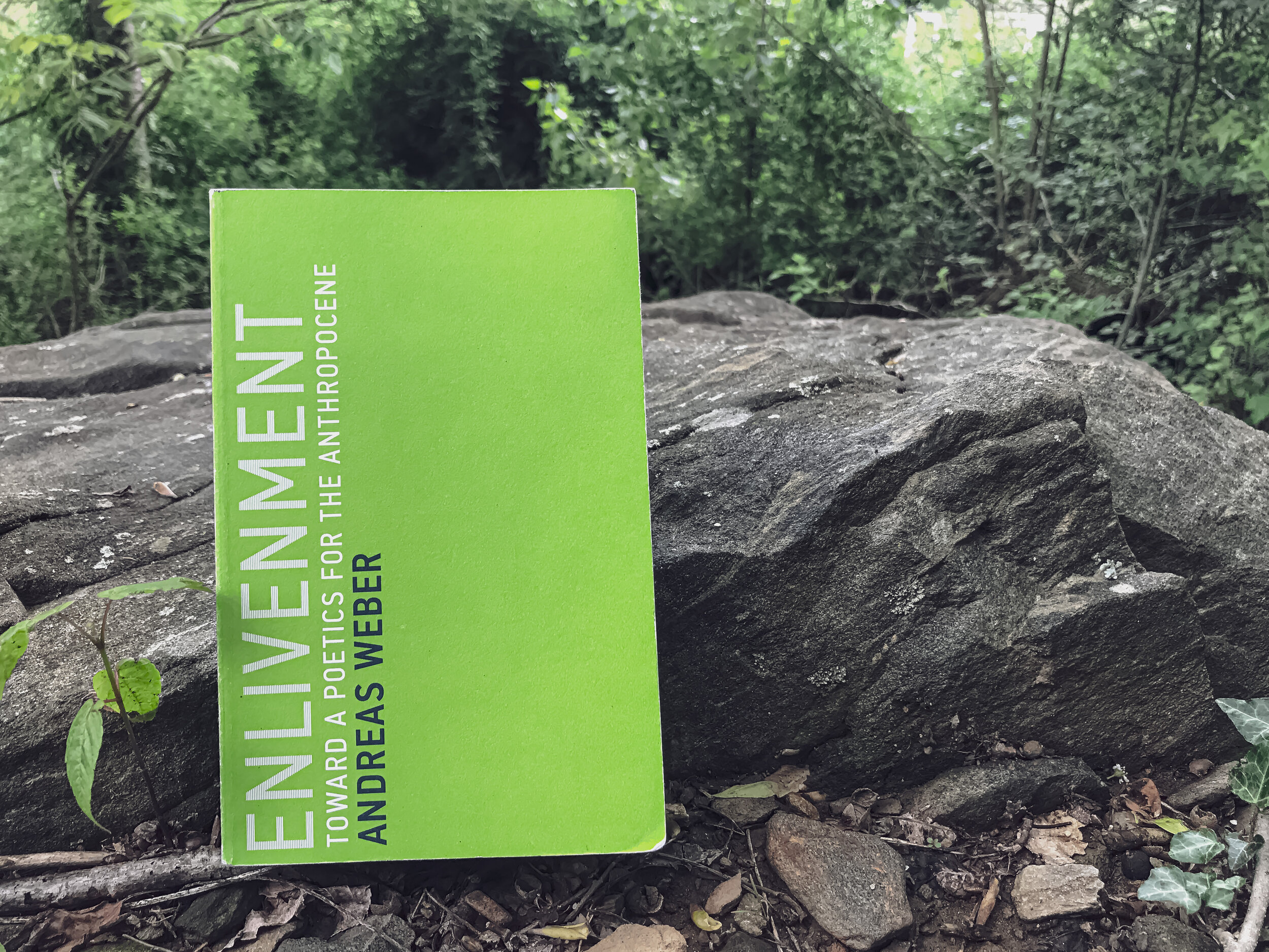 Published in 2019 by MIT Press, Cambridge MA195 pagesISBN: 9780262536660