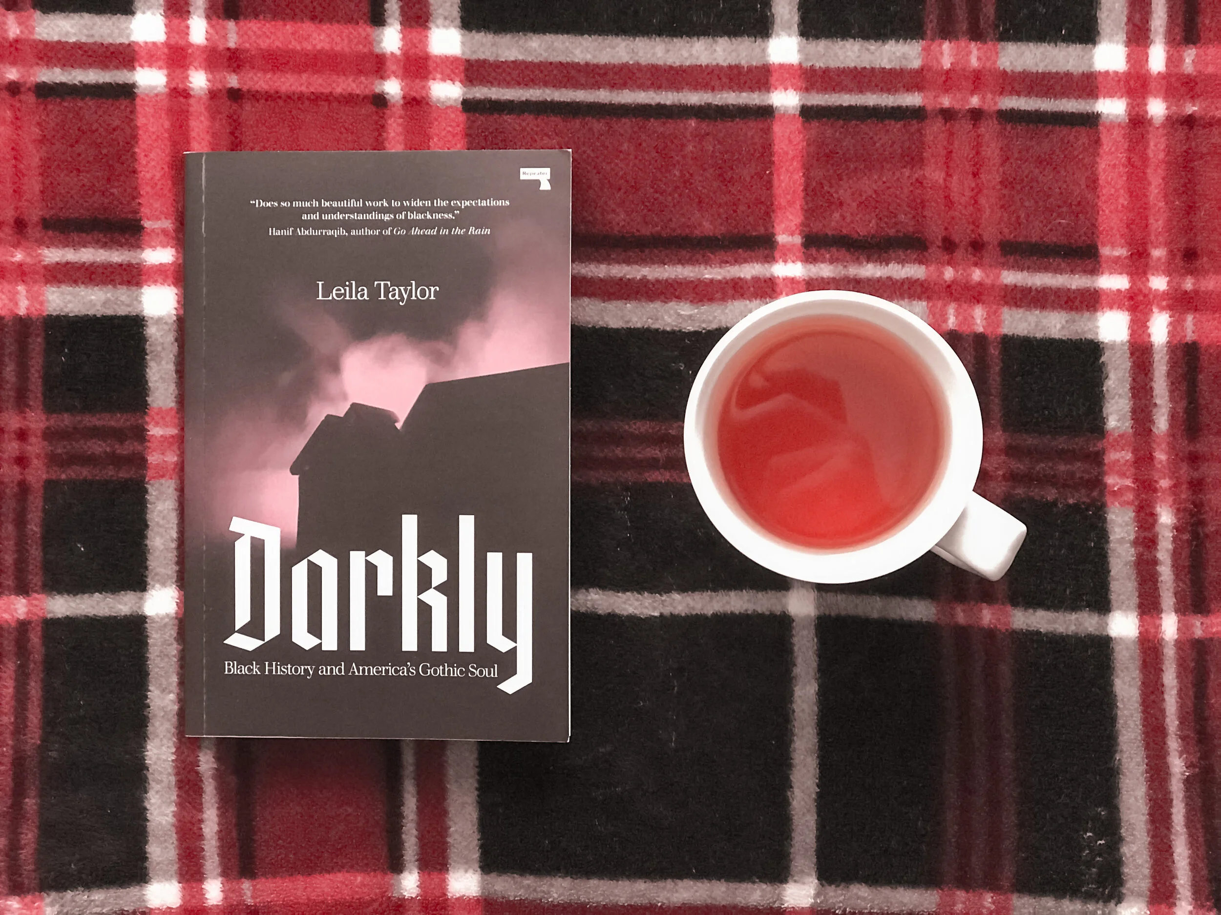 Darkly: Black History and America’s Gothic Soul - Leila Taylor