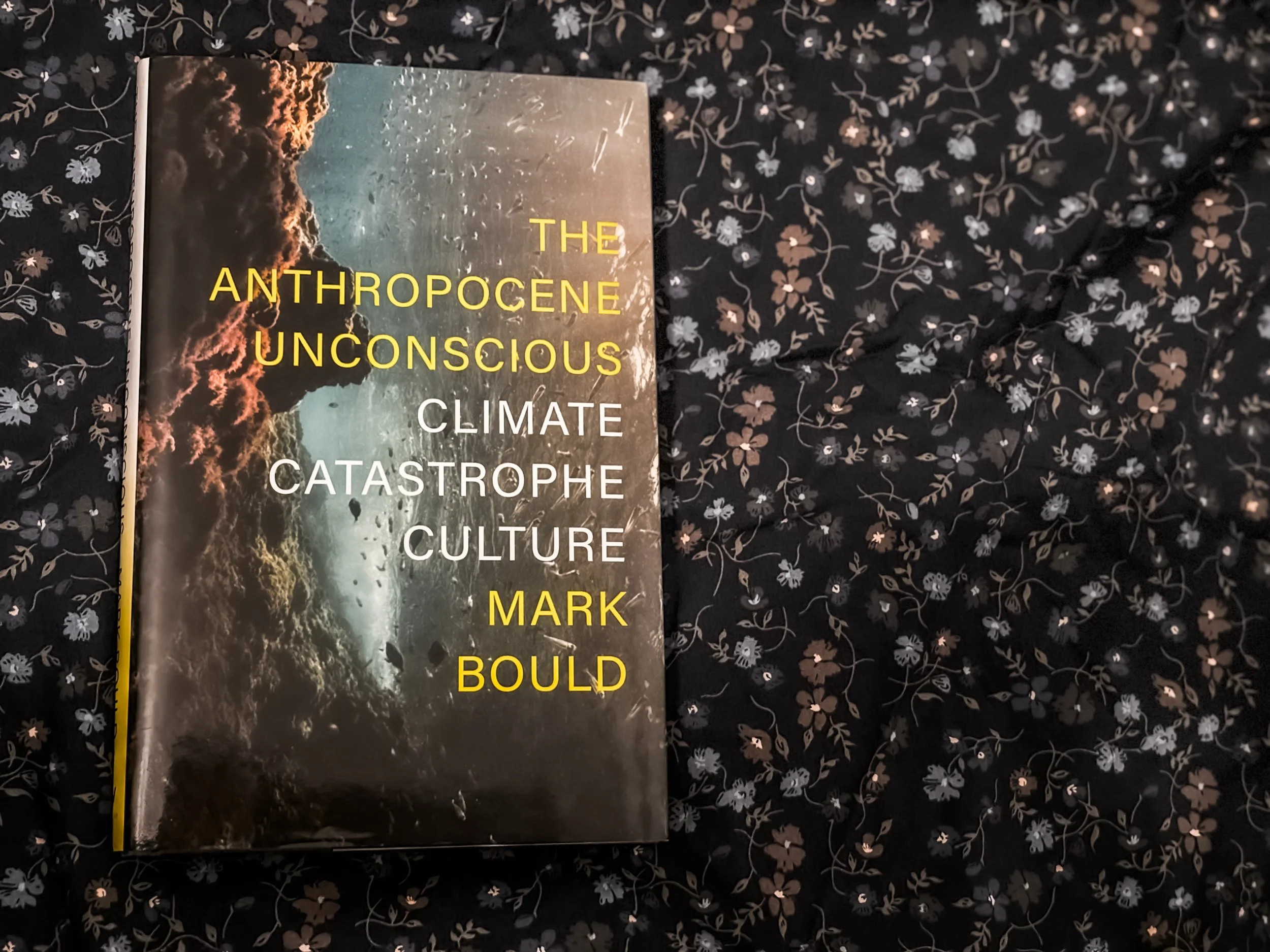 The Anthropocene Unconscious: Climate Catastrophe Culture - Mark Bould