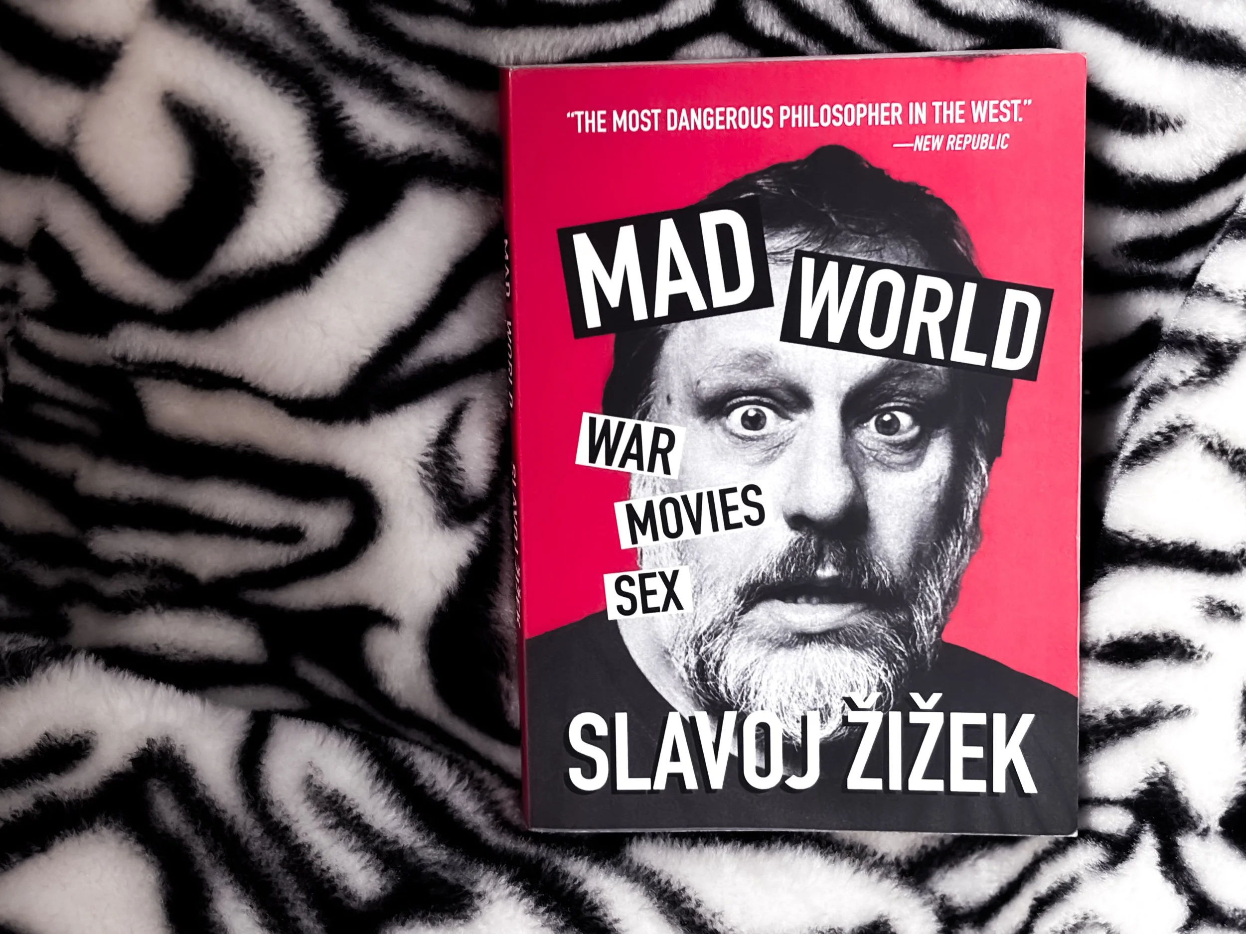 Mad World: War, Movies, Sex - Slavoj Zizek