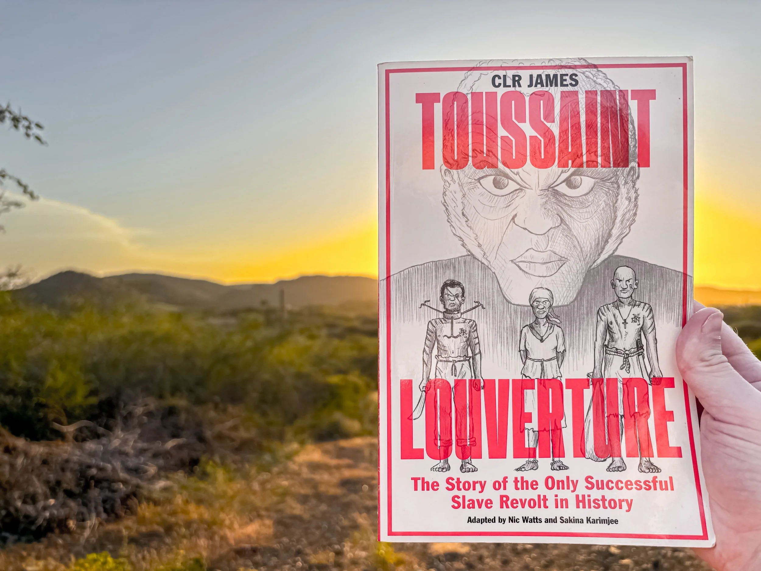 Toussaint Louverture: The Story of the Only Successful Slave Revolt in History - C.L.R. James