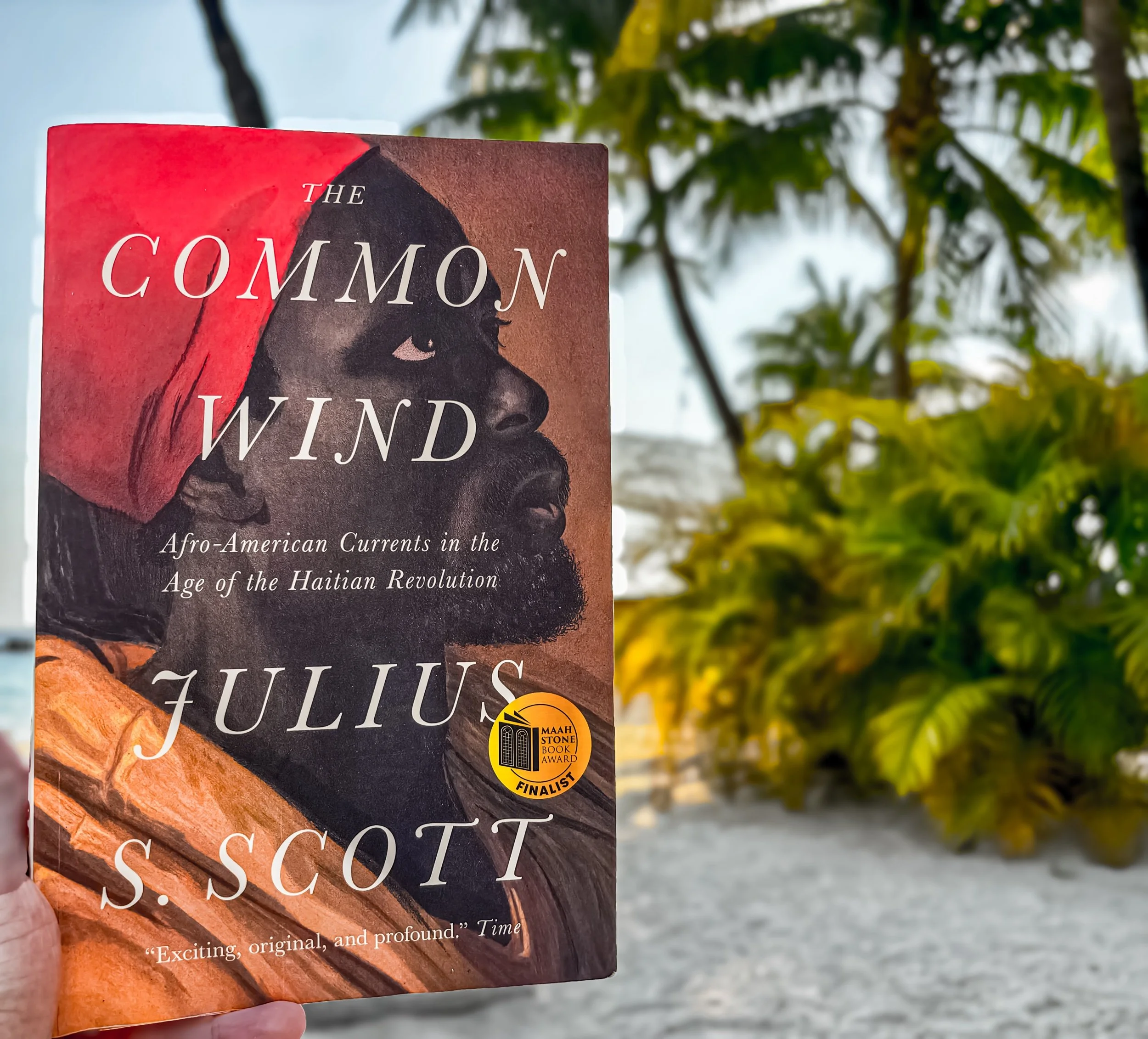 The Common Wind: Afro-American Currents in the Age of the Haitian Revolution - Julius S. Scott