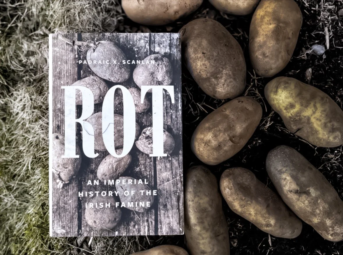 Rot: An Imperial History of the Irish Famine - Padraic X. Scanlan